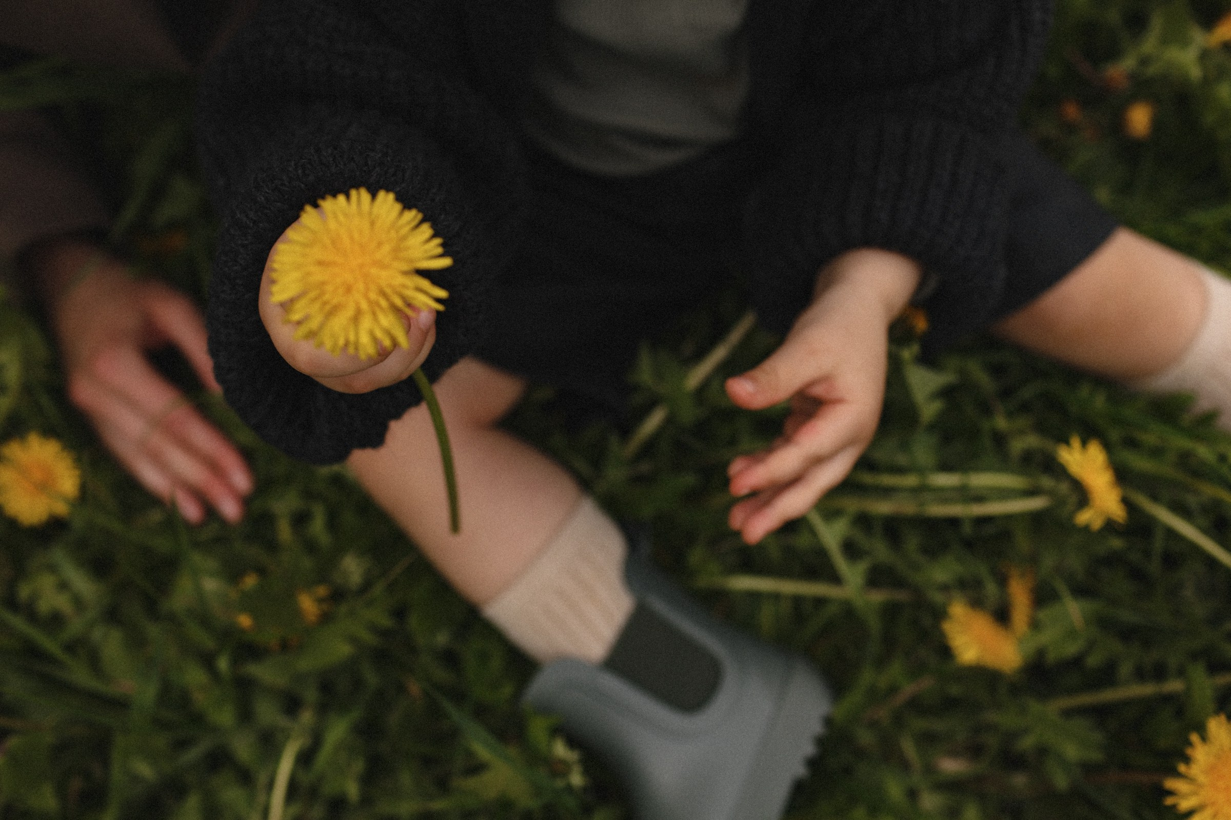 Одуванчики. Семейный фотограф в Москве Алевтина Носова