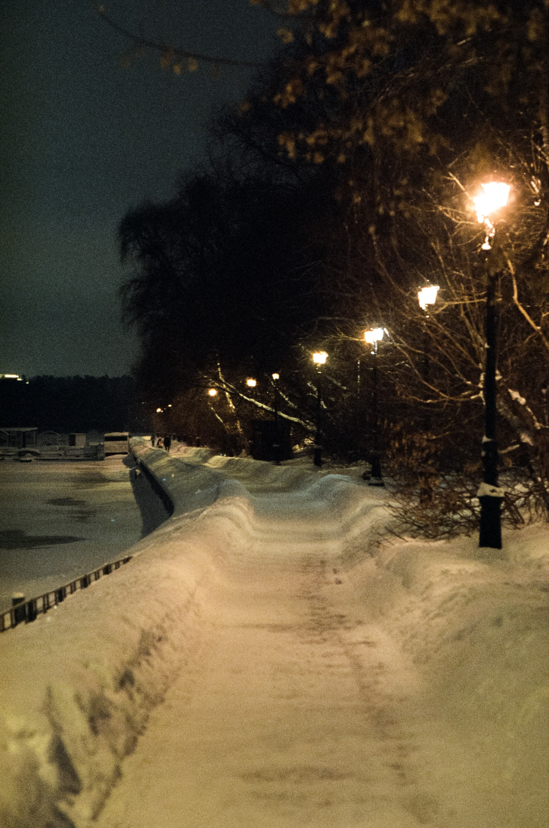 SFL 500T (Kodak Vision 3 500T) / Canon T80 / Canon FD 85 mm f1.2 L