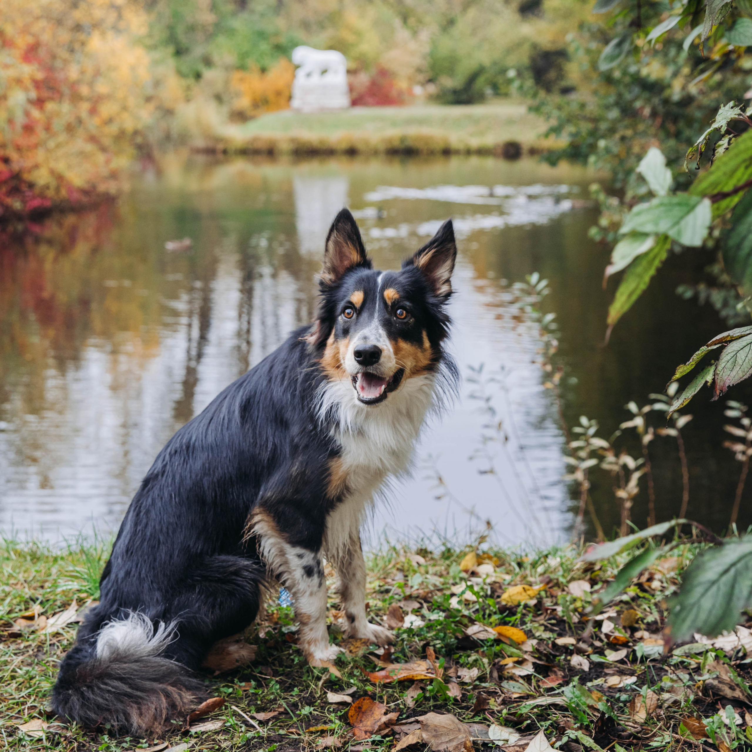 Вольт. Свадебный и семейный фотограф в Санкт-Петербурге Лолита Евстифеева