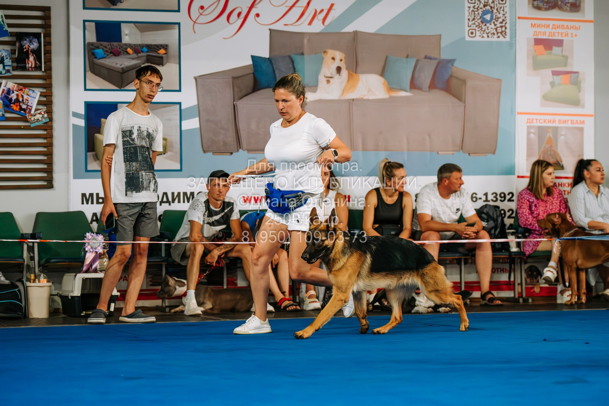 Национальная выставка собак всех пород ранга САС-IKU «Кубок Красноярск. Фотограф Диана Оленина Красноярск / Братск
