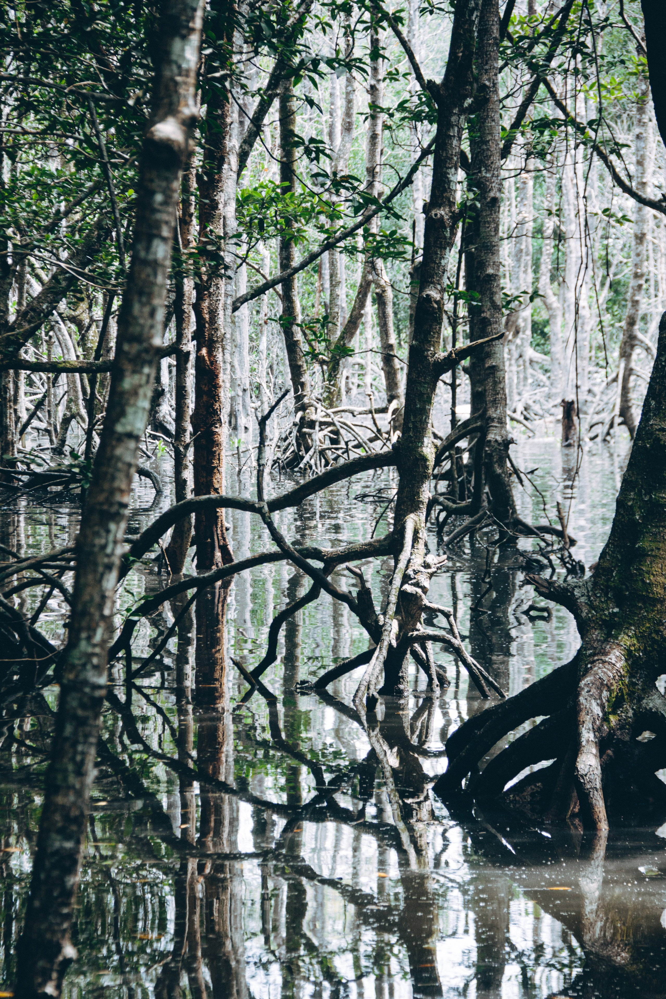 Malaysia. ДарияГалямова — фотограф: открытый, творческий, коммерческий