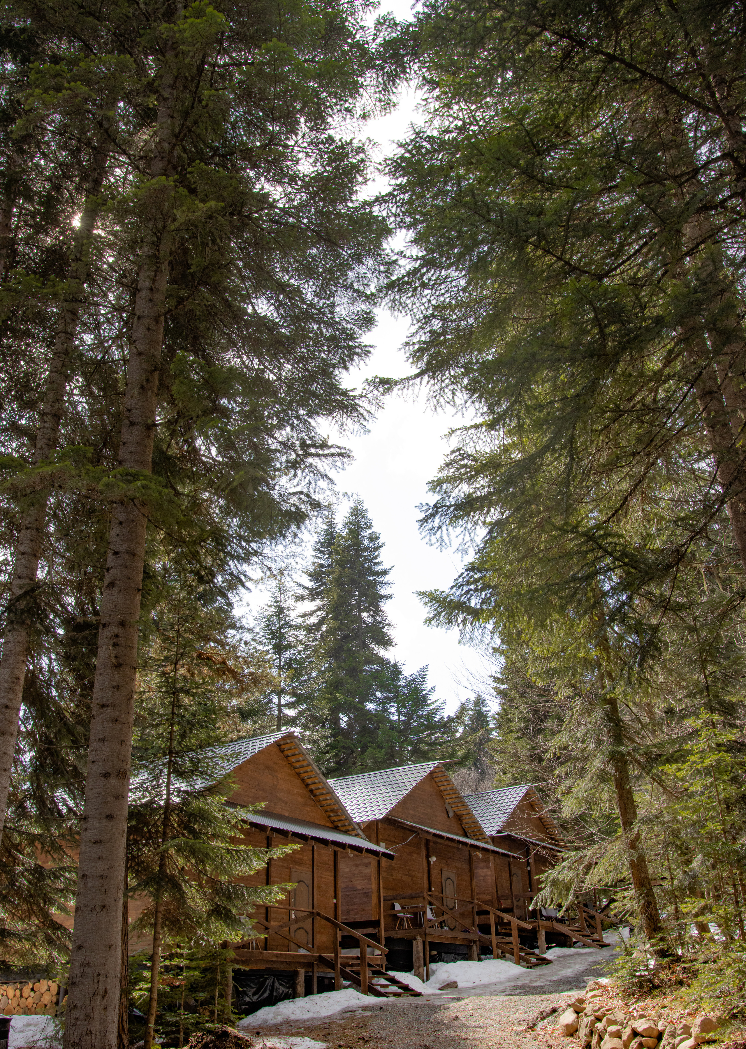 Интерьерная съемка. Свадебный и семейный фотограф | SVET.photo