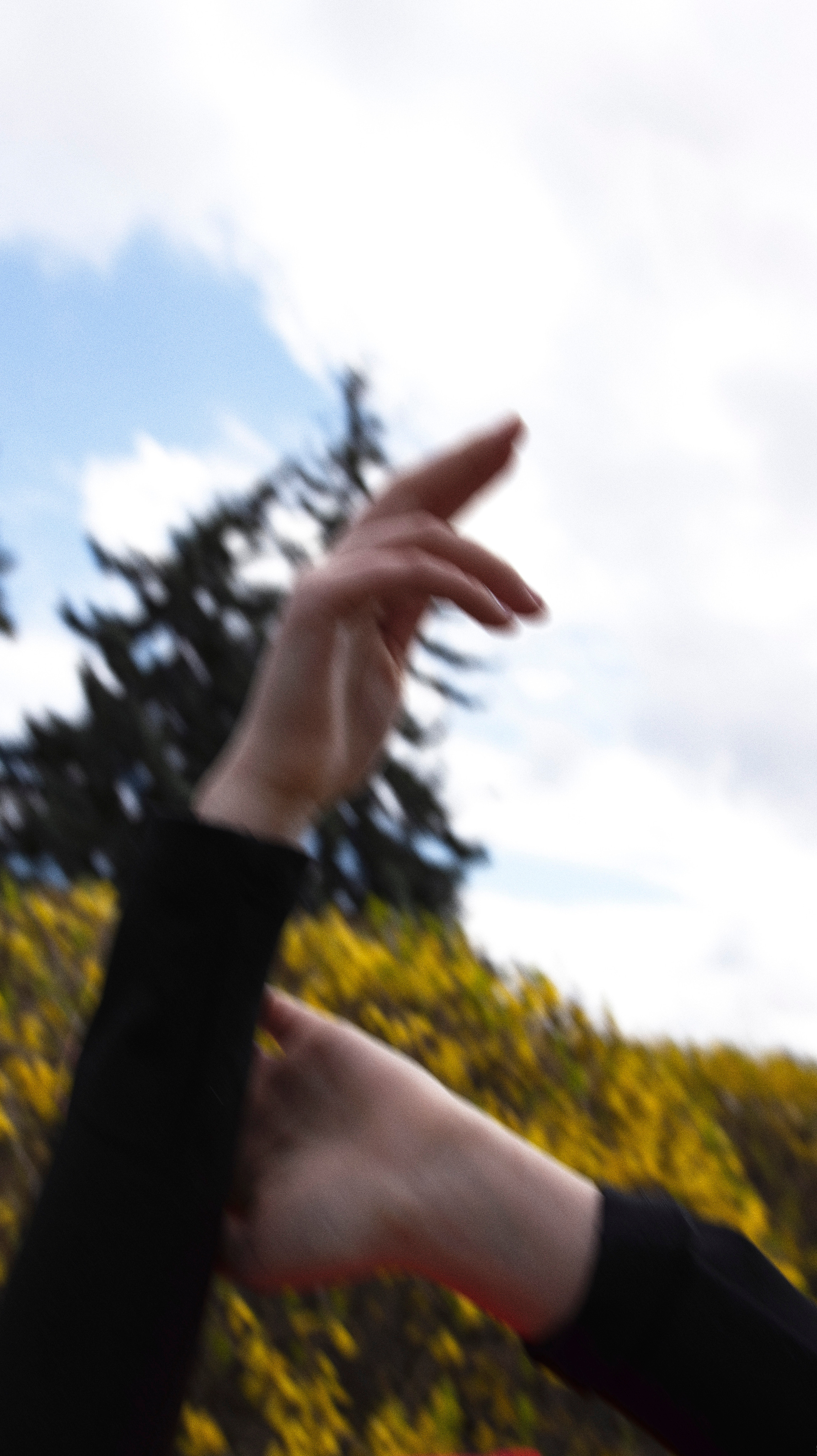 Уличные съемки. Свадебный и семейный фотограф | SVET.photo