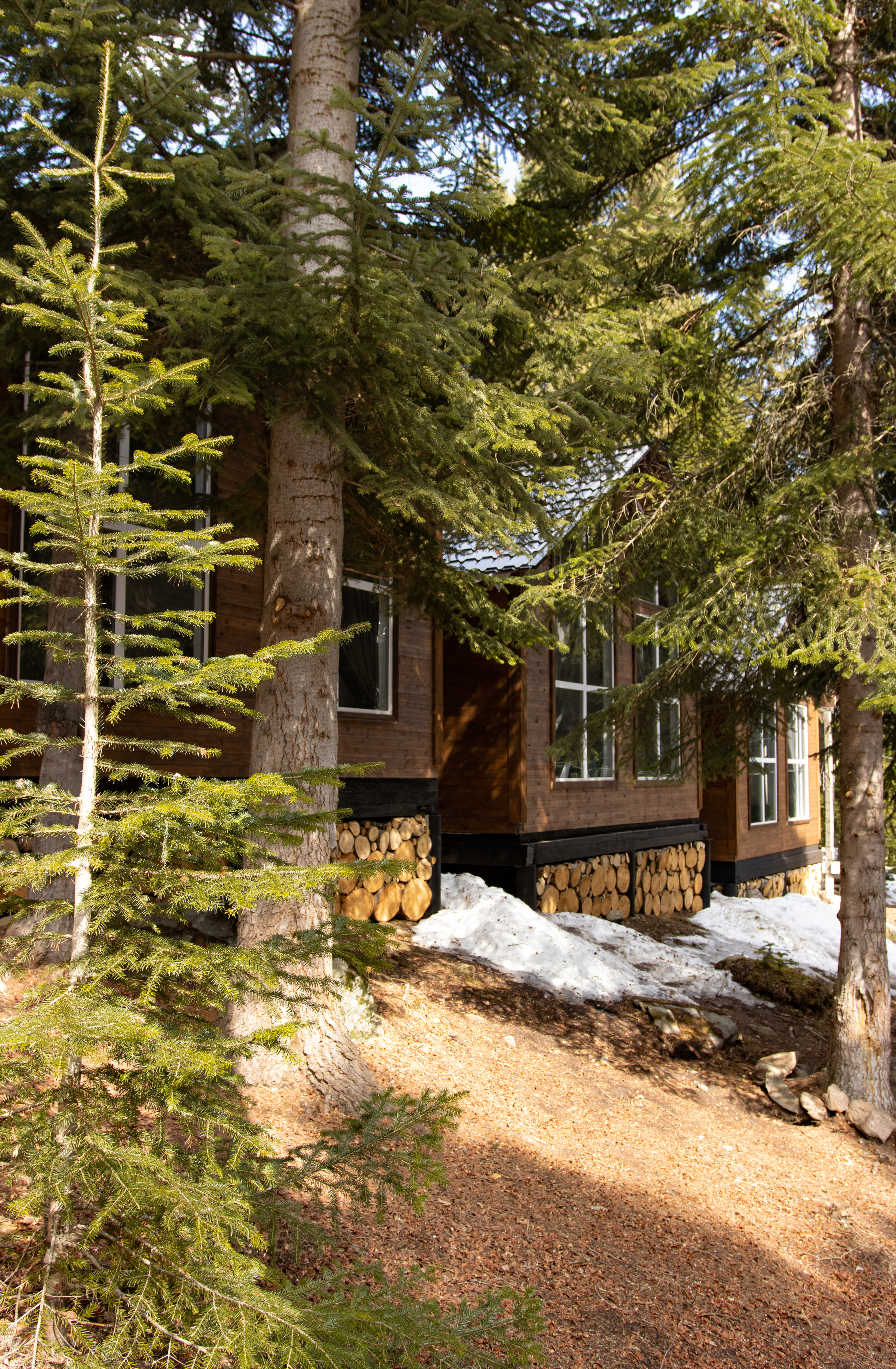 Интерьерная съемка. Свадебный и семейный фотограф | SVET.photo