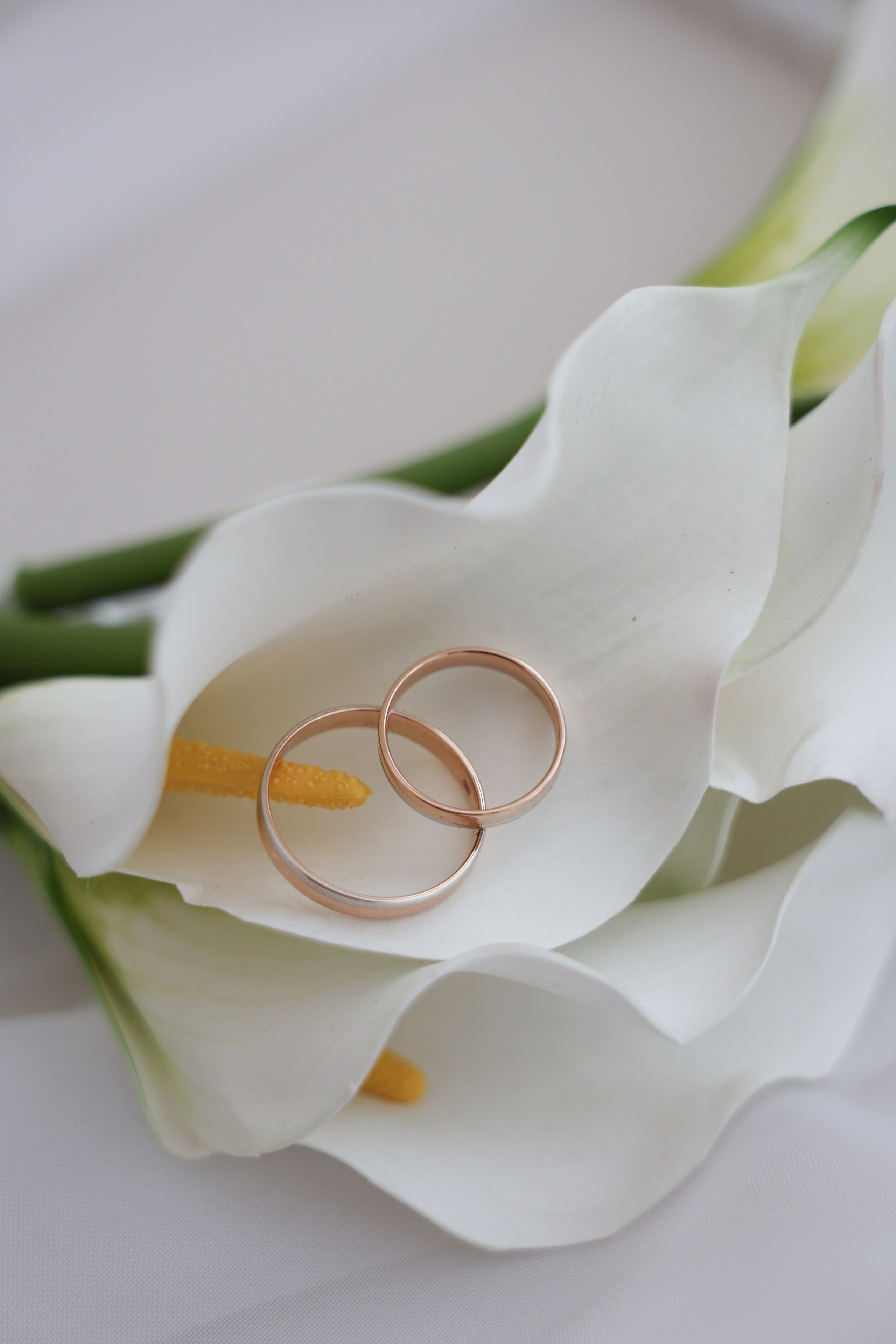 Алексей и Ксения. Фотограф и видеограф в Москве Полина Абраменкова