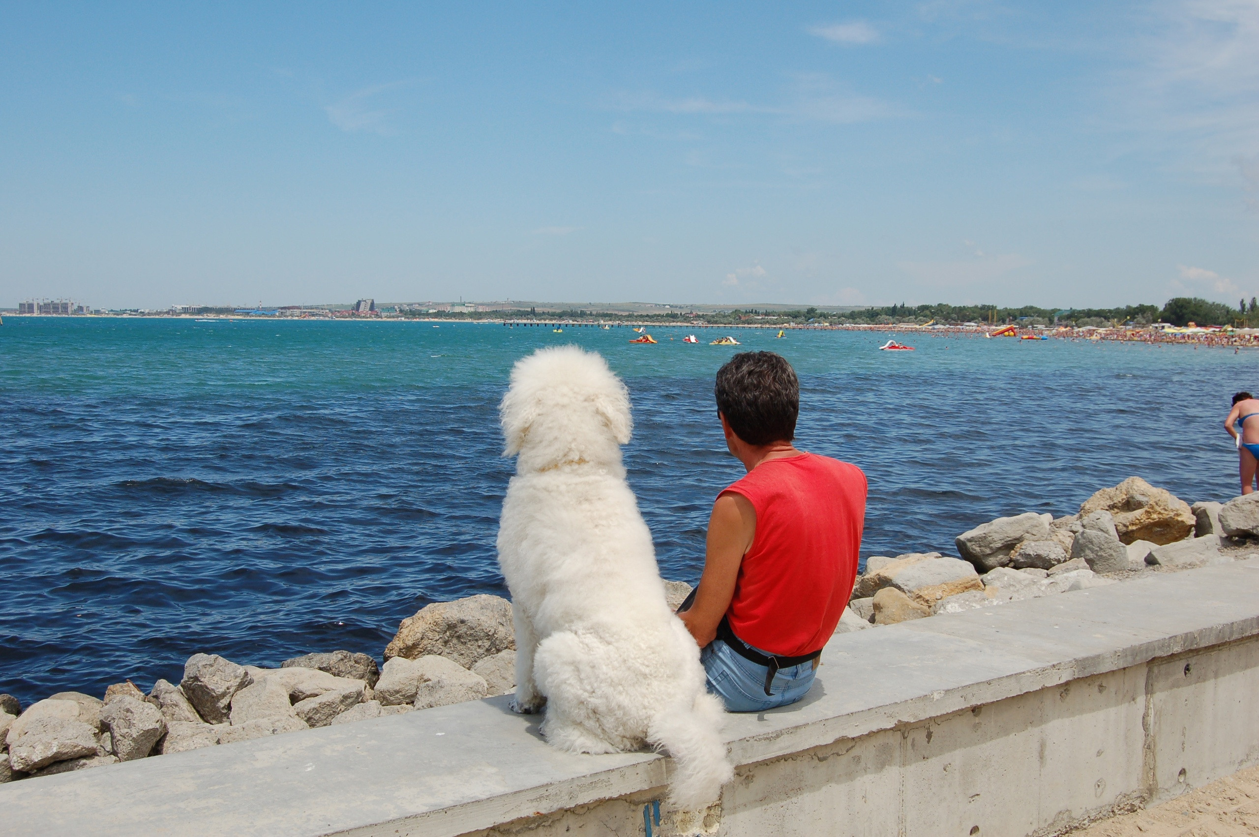 Блог. Фотостудия Портрет Свадебный и семейный фотограф в Рязани