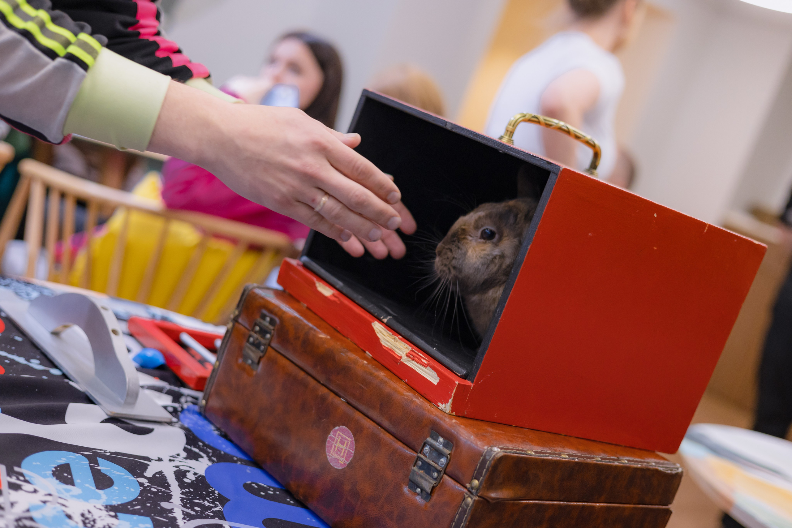 День Рождение Евы. Детский и семейный фотограф Евгения Вахнеева Москва Зеленоград