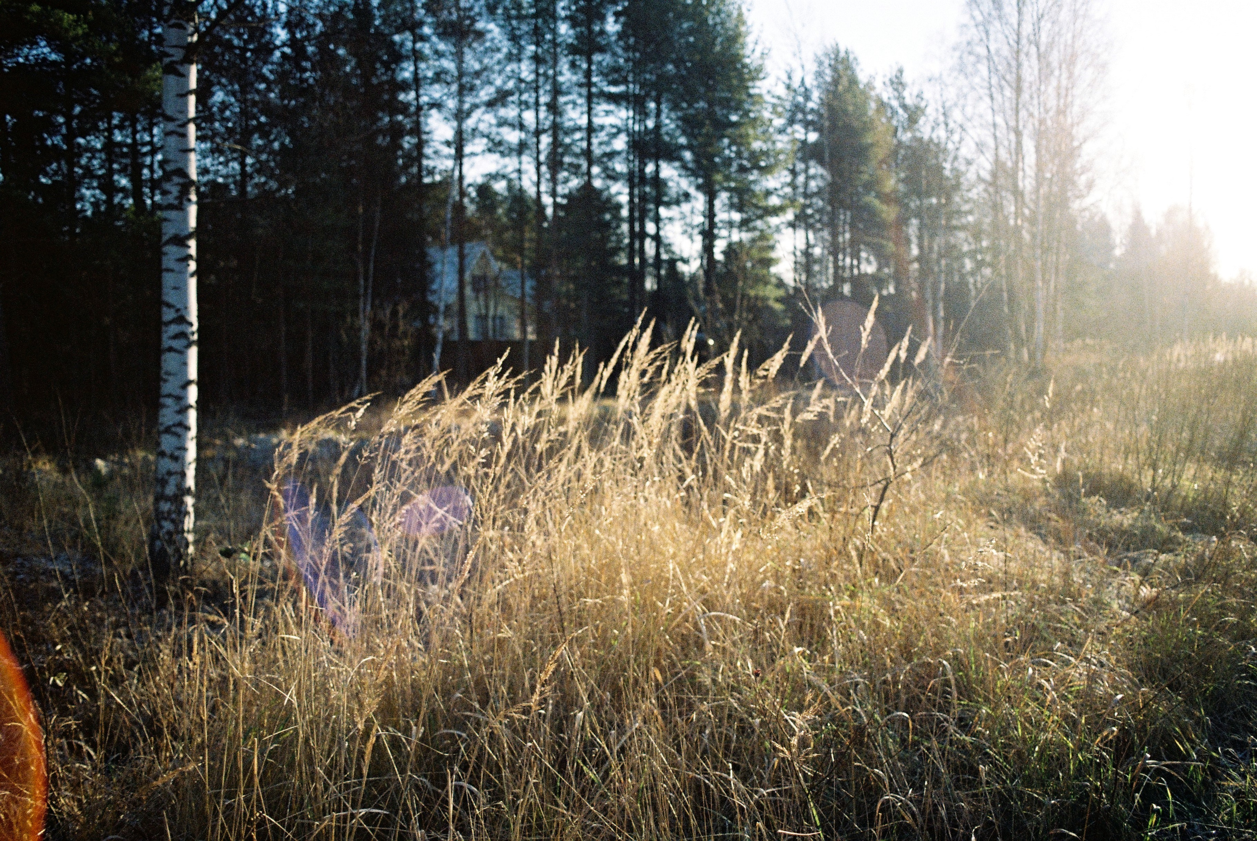 Film. Ruslan UI Dev Page