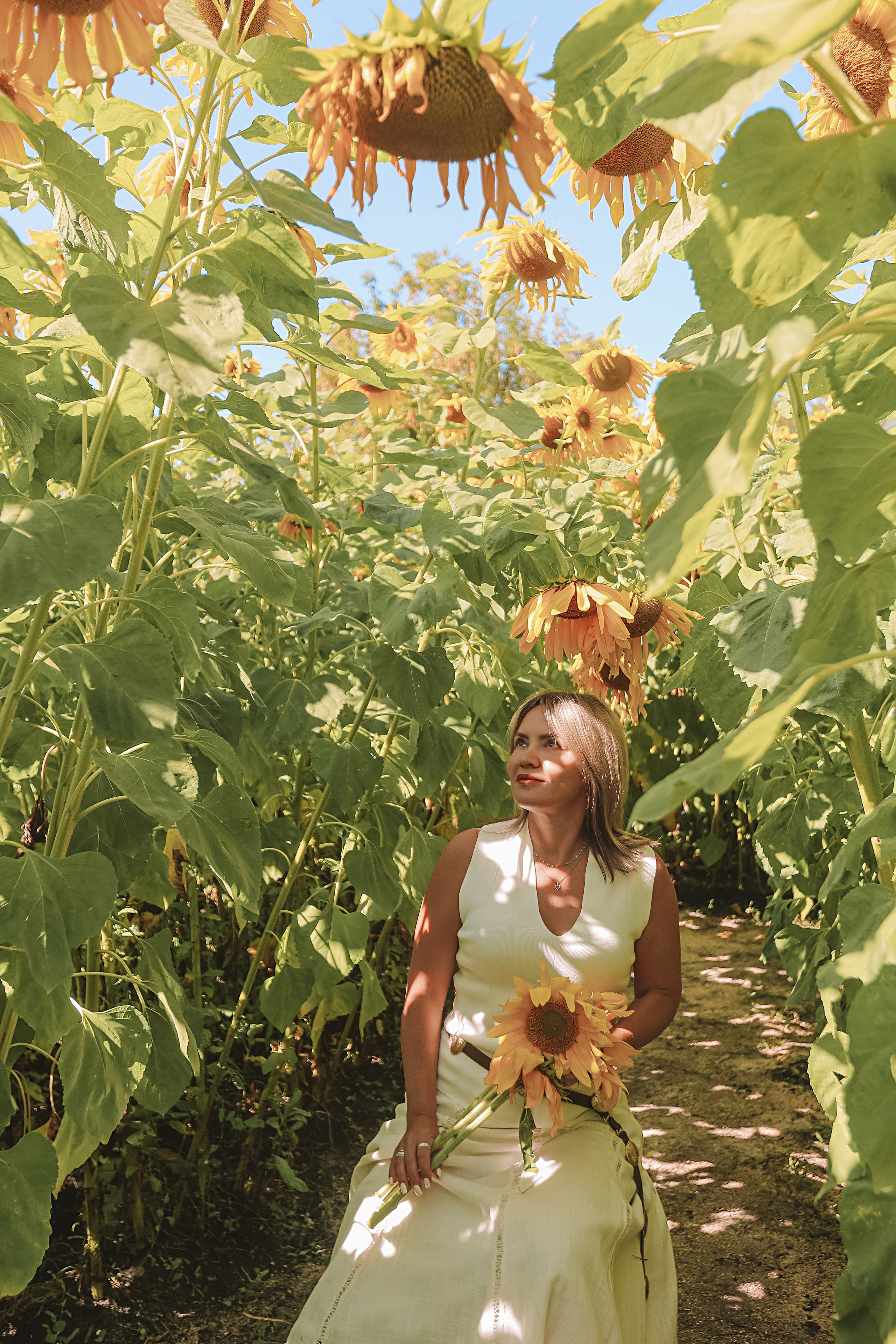 Подсолнухи. Семейный фотограф Тюмень, фотограф на роды Салмина Мария
