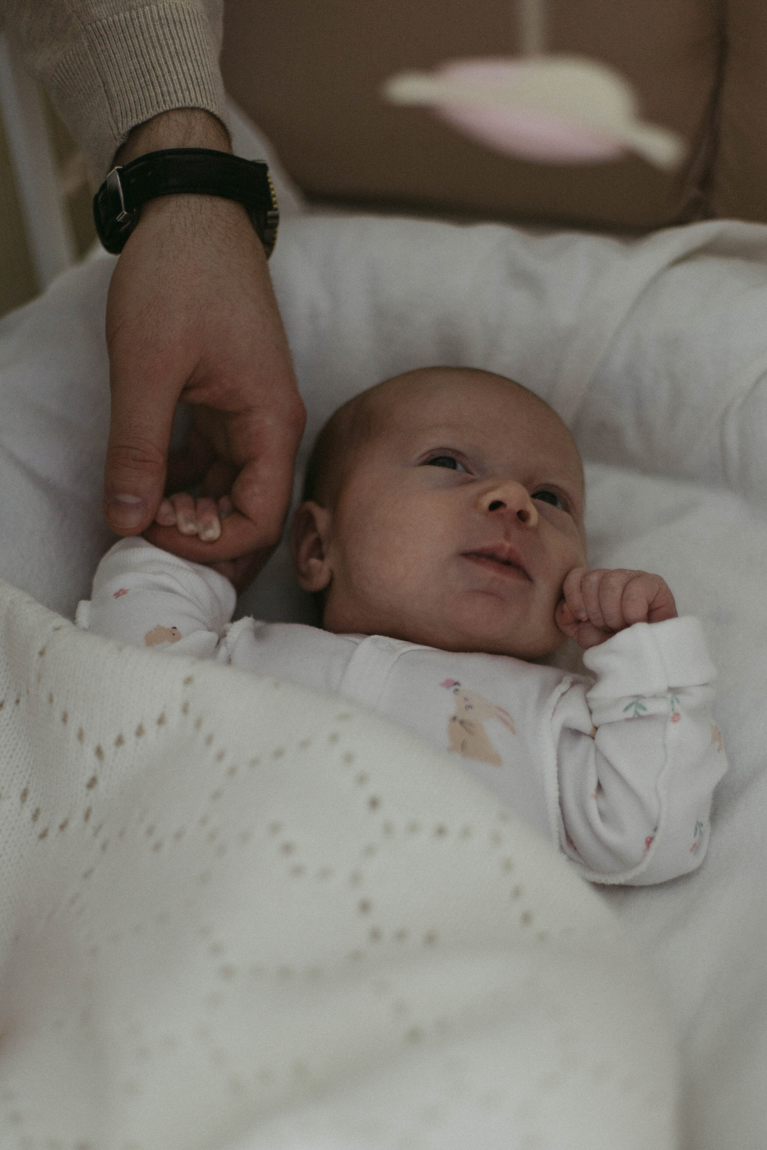 Лере 1 месяц. Семейный фотограф Гульцовская Екатерина