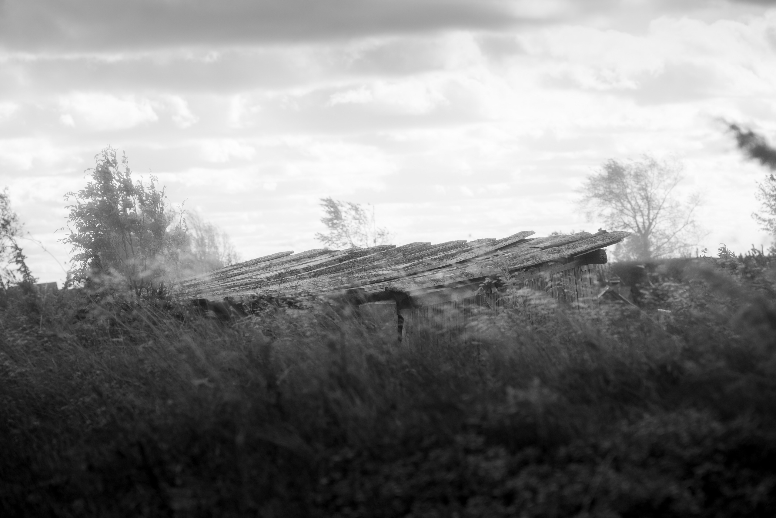 Деревня / Север I. Фотограф Антон Денисенко: Портрет, Документалистика, Пейзаж. Москва