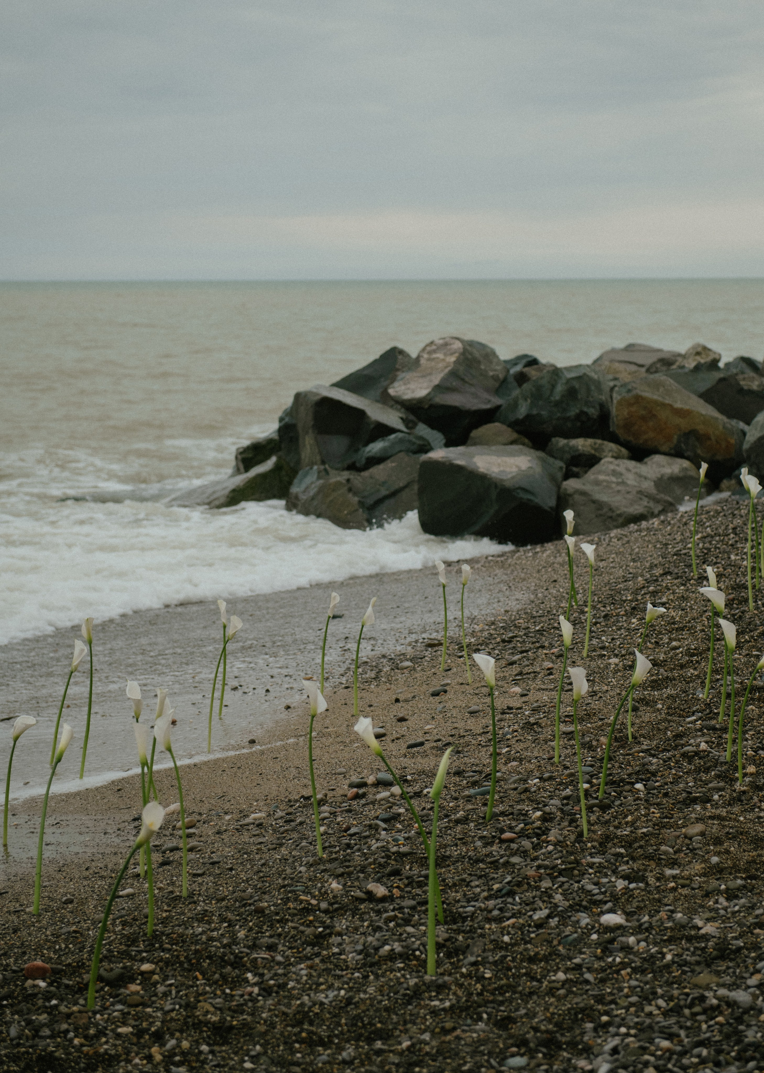 Никита и Анастасия (с.Николаевка). Свадебный, женский, семейный фотограф в Севастополе Юлия Мошенко