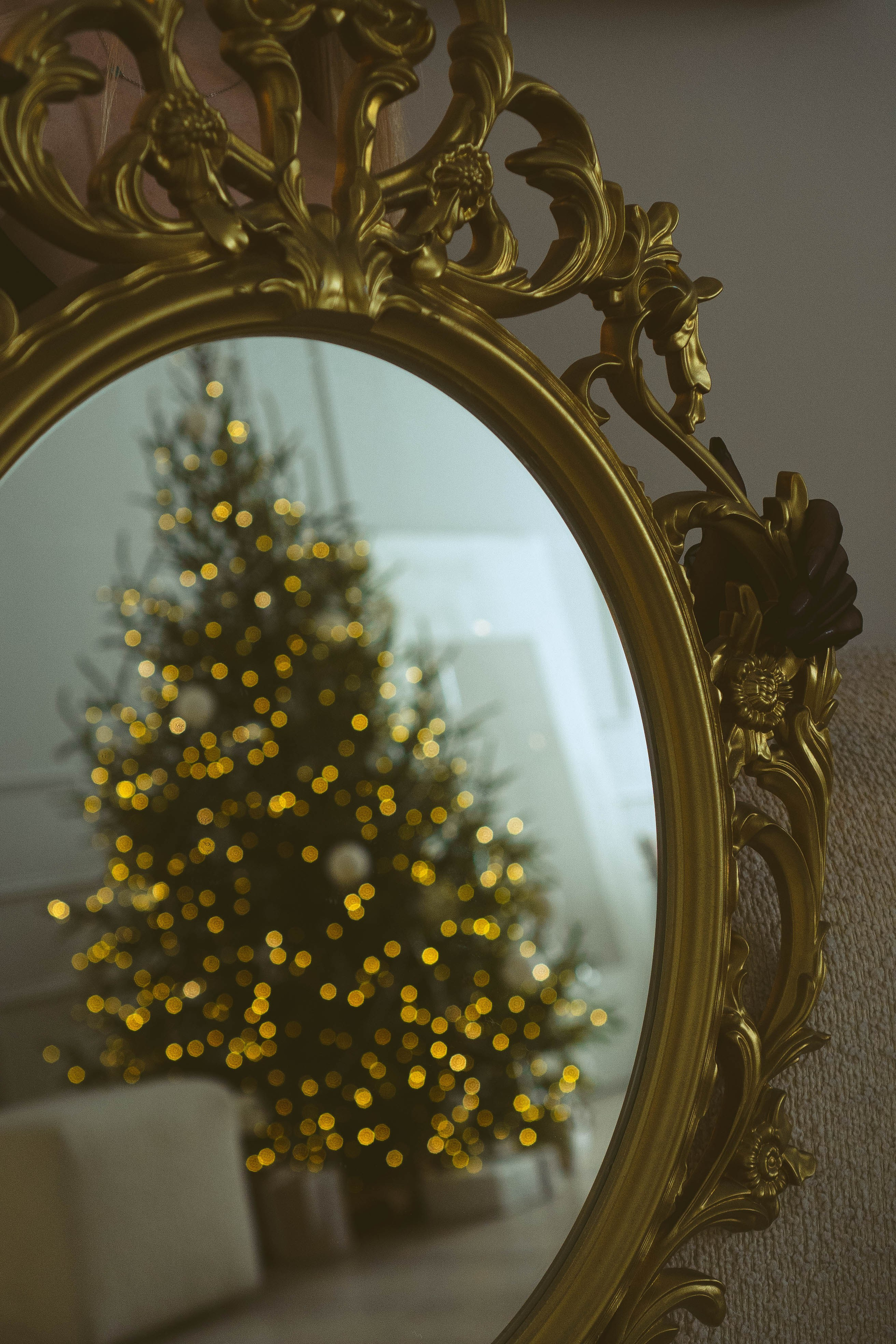 Новогодняя. Профессиональный фотограф, Санкт-Петербург — Виктория Богомолова