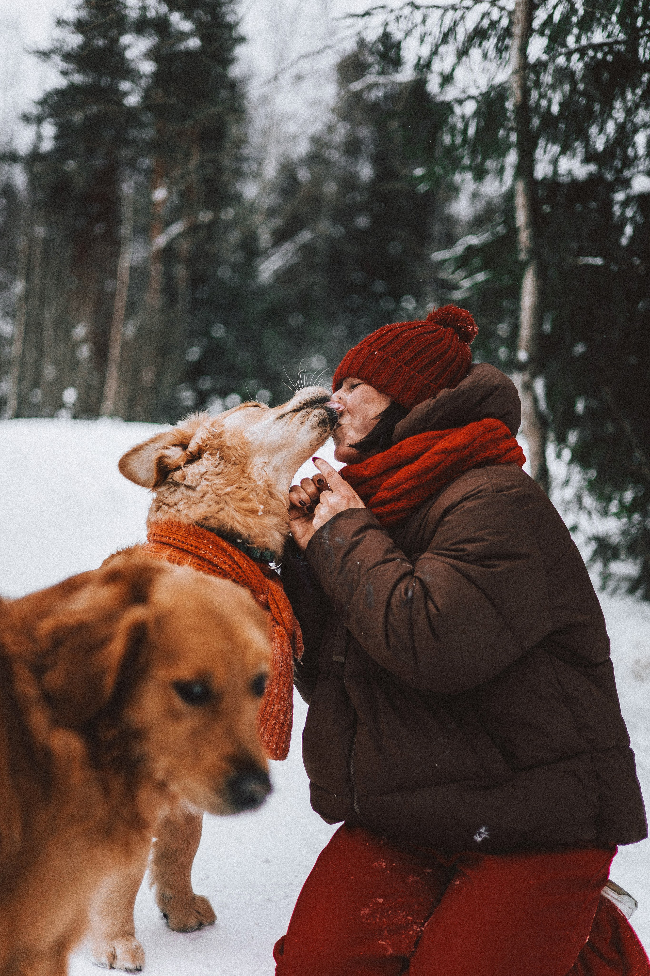 Саша, Юля, Грэй и Джой. Фотограф-анималист Богданова Полина