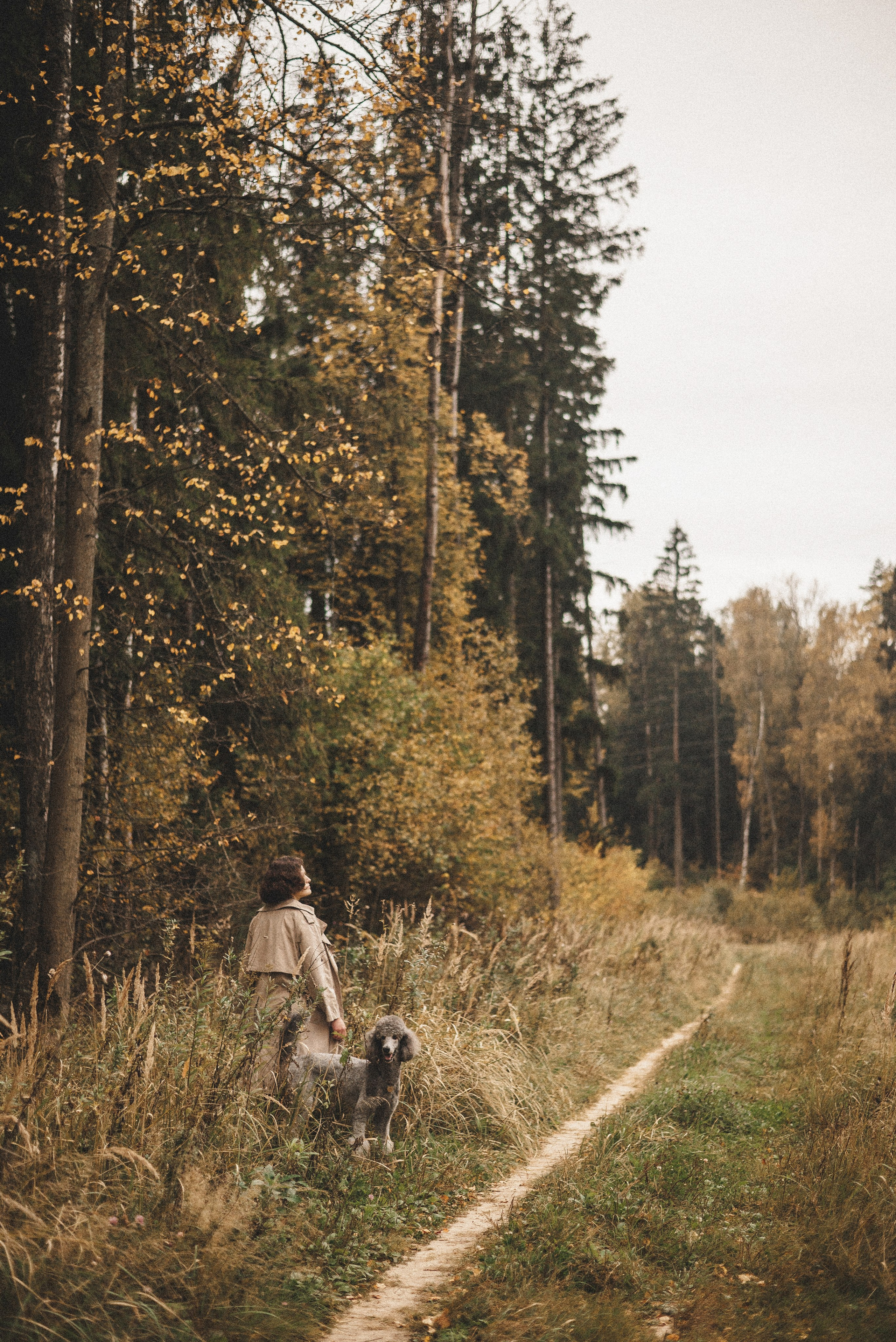 Алёна и Смоки. Фотограф-анималист Богданова Полина