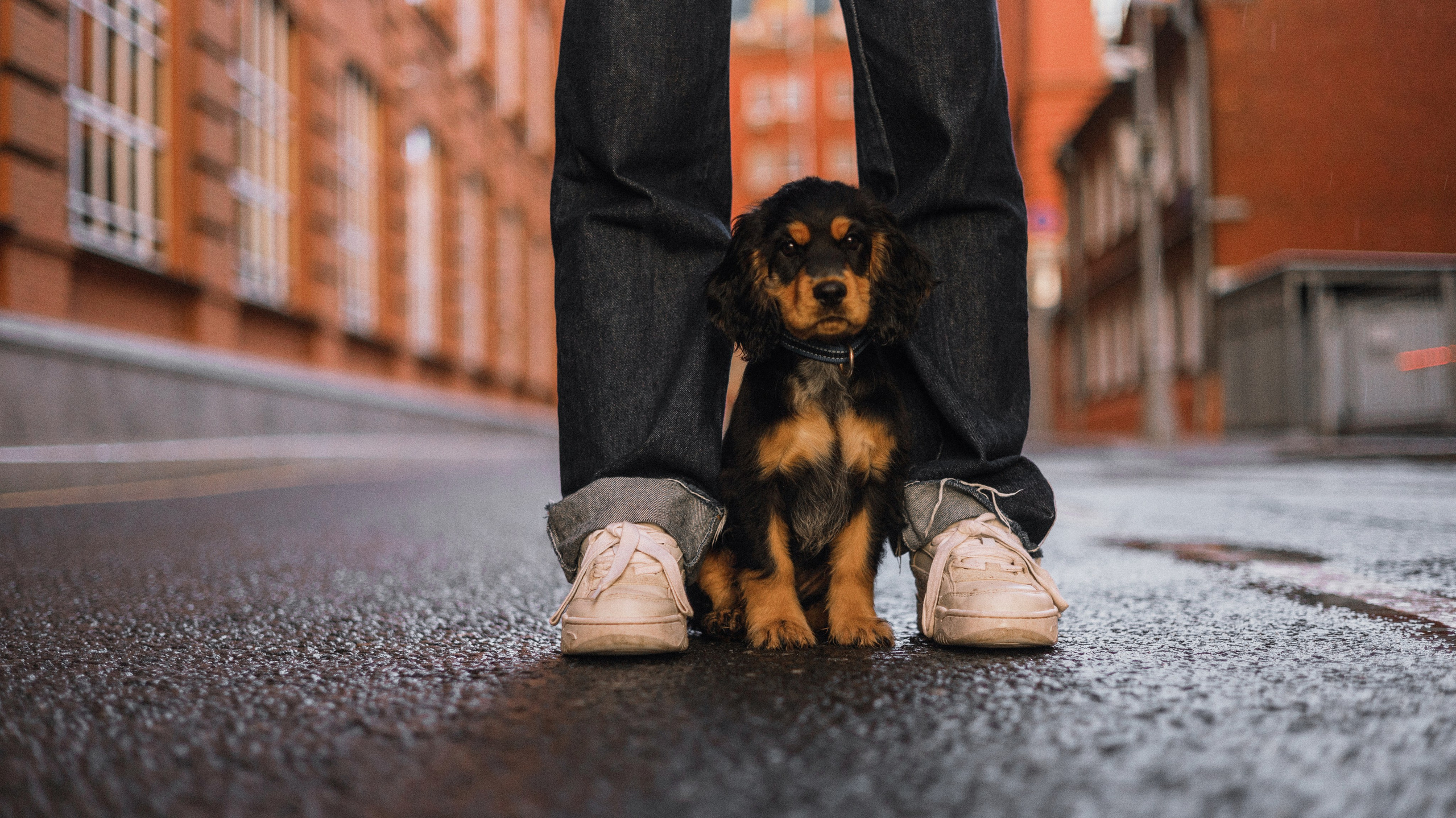 Аня и Ривер. Фотограф-анималист Богданова Полина