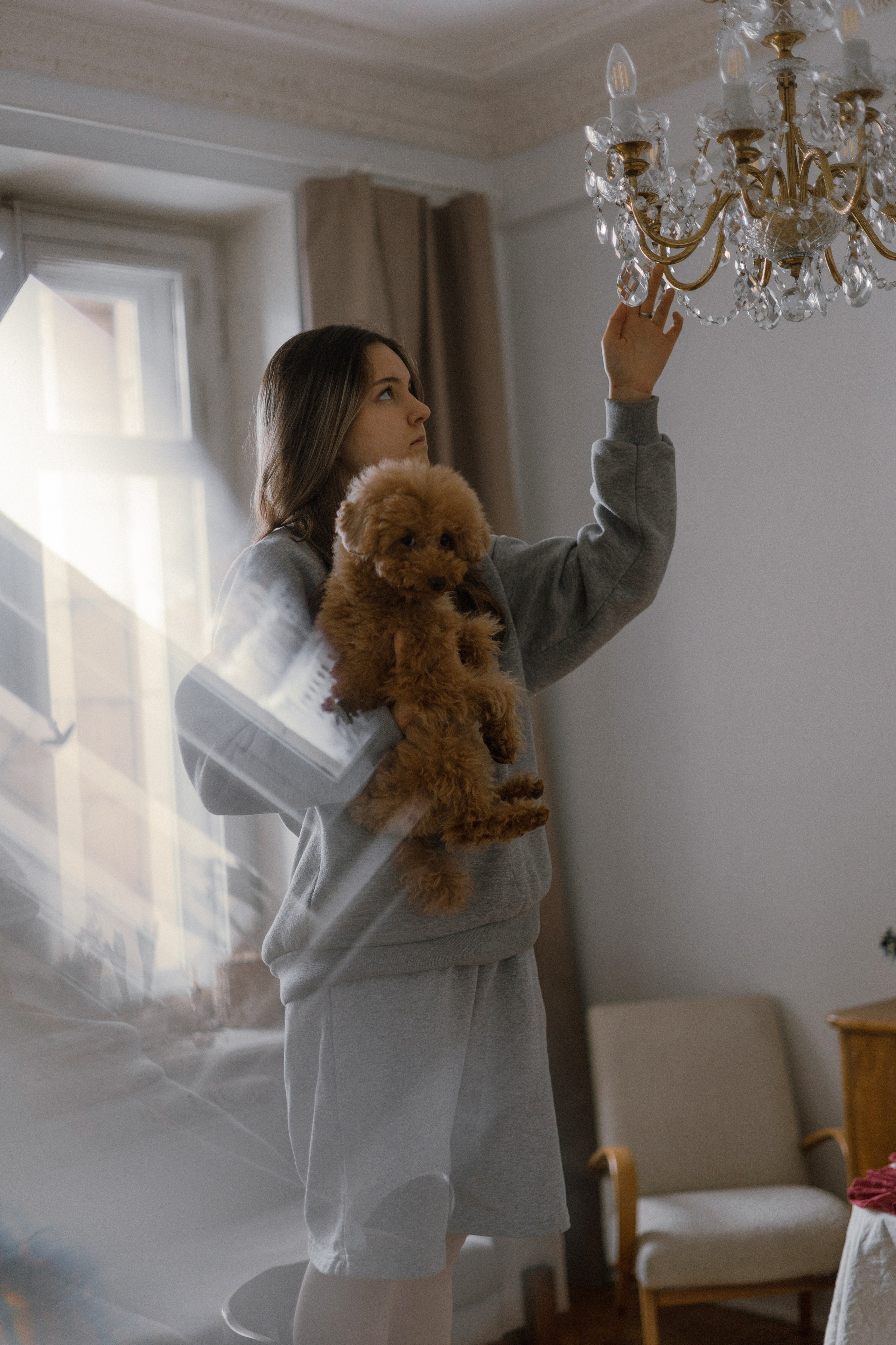 Маша, Одди и Нэвил. Фотограф-анималист Богданова Полина