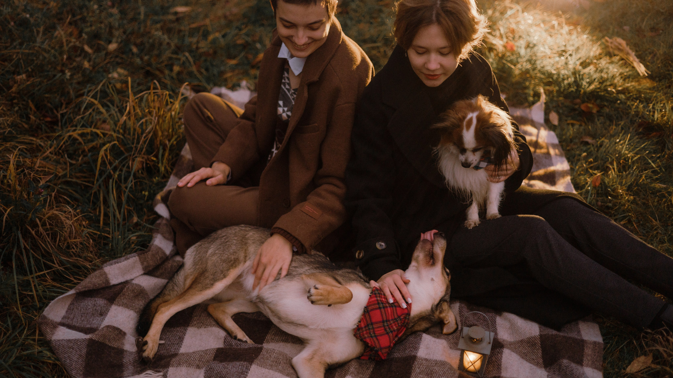 Маша, Катя, Астрид и Мася. Фотограф-анималист Богданова Полина