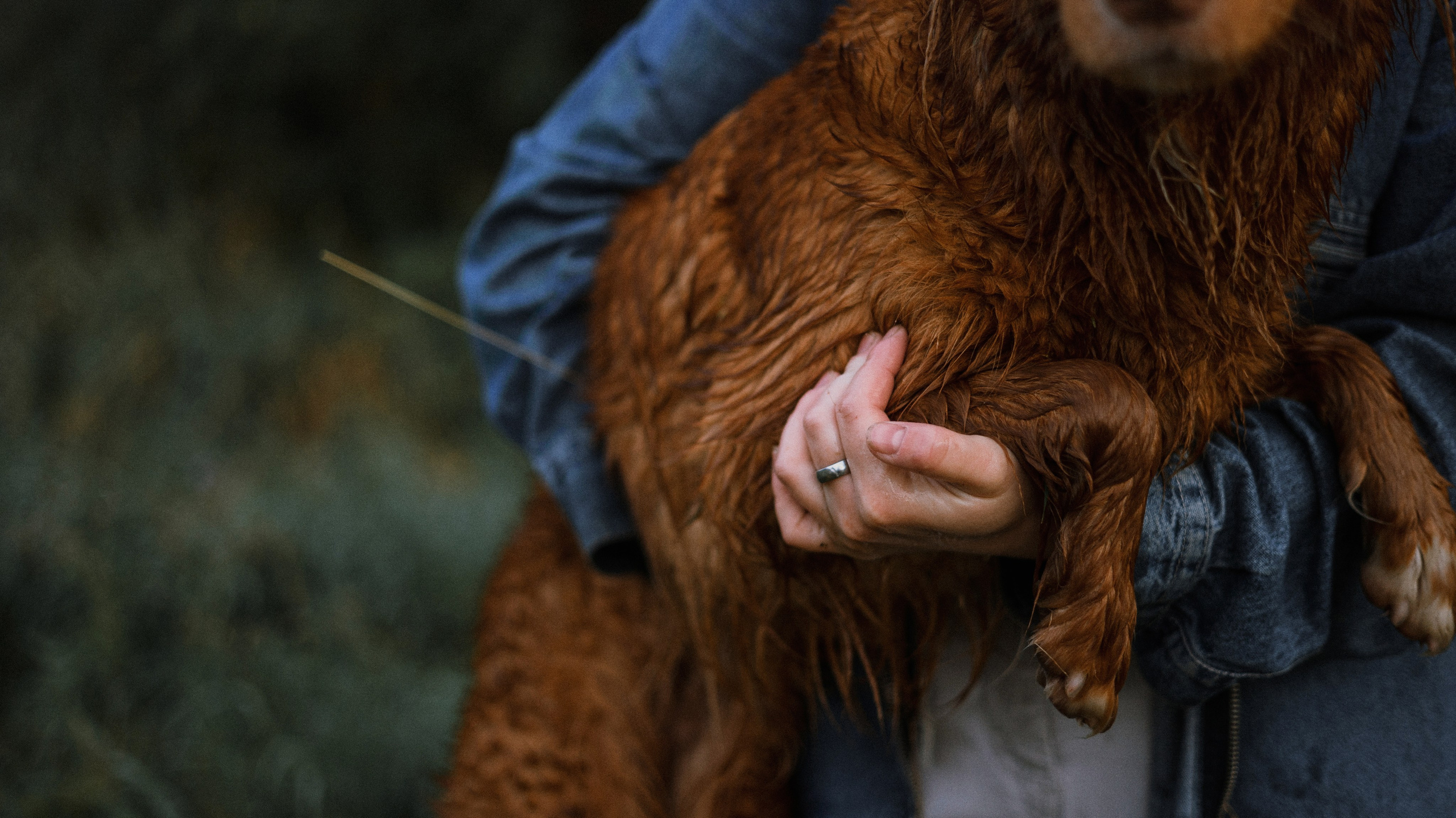 Ксюша и Мэди. Фотограф-анималист Богданова Полина