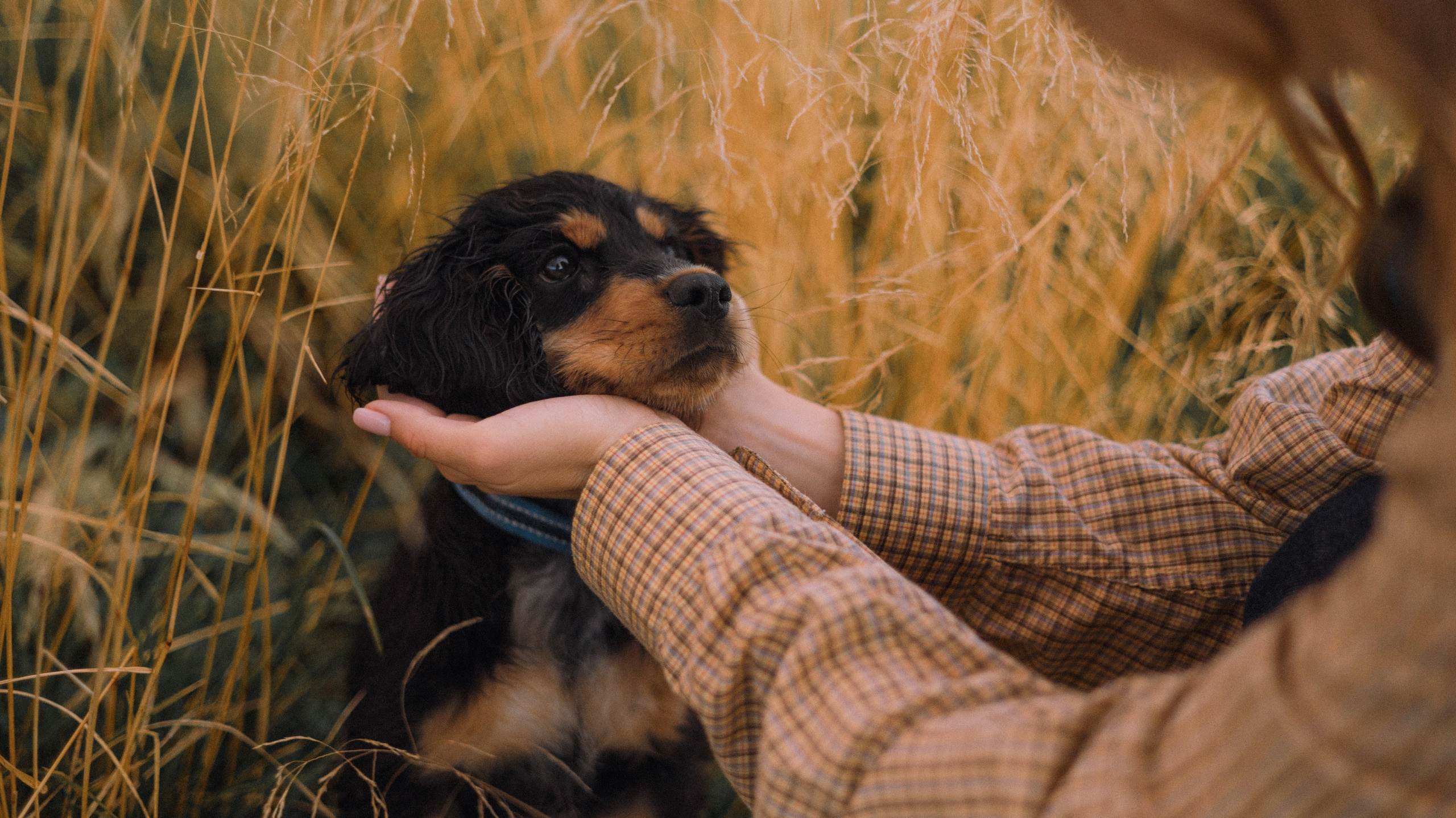 Аня и Ривер. Фотограф-анималист Богданова Полина