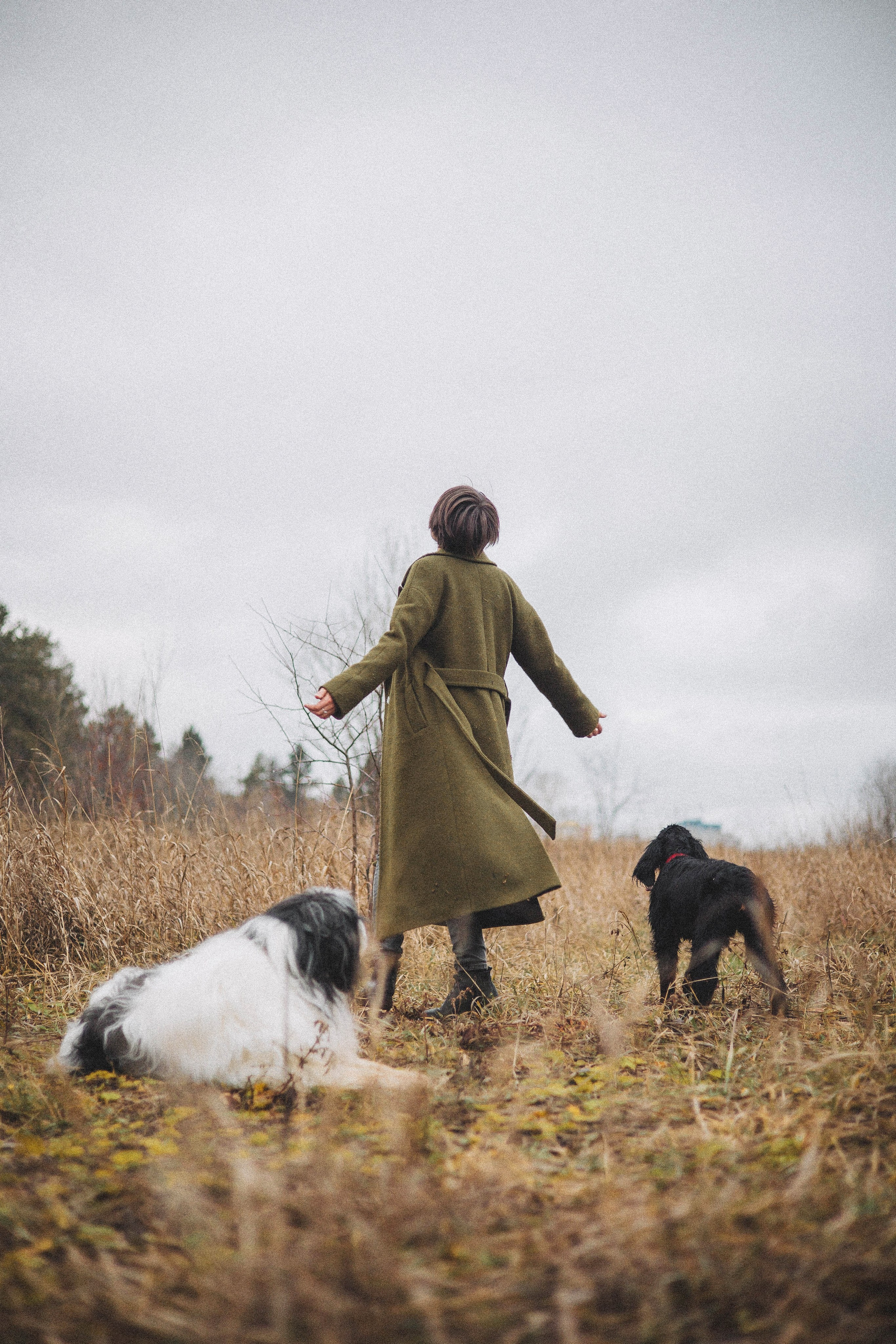 Даша, Глеб, Барс и Бруно. Фотограф-анималист Богданова Полина