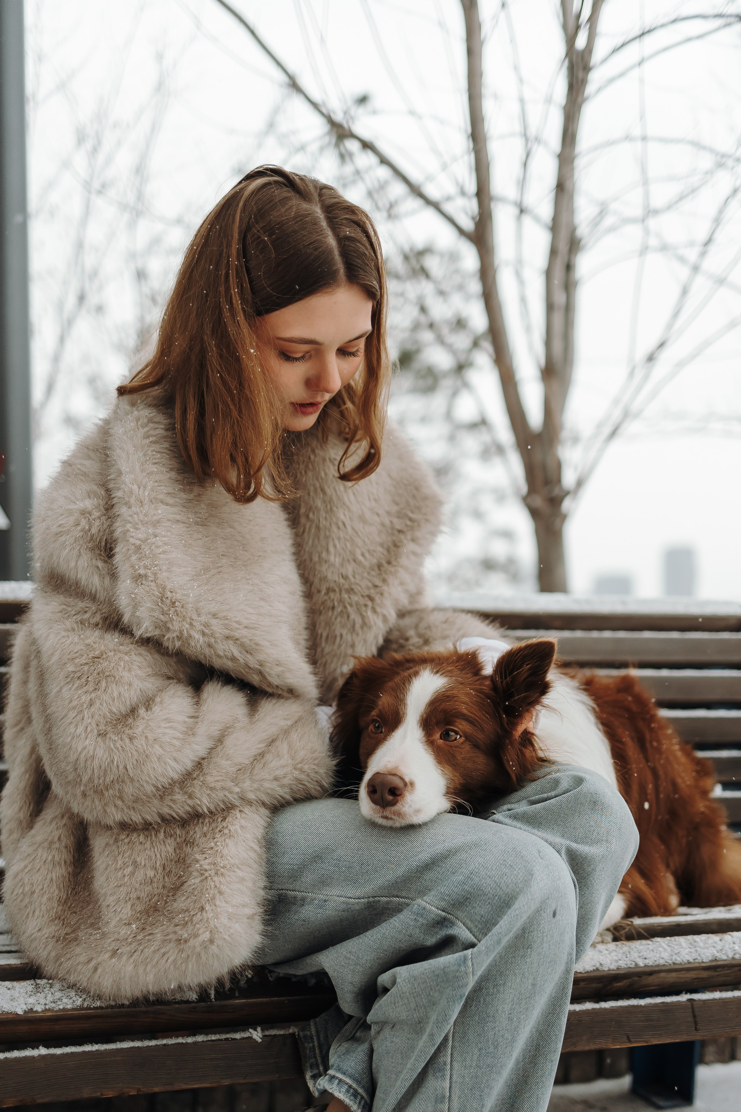 Маша и Брауни. Фотограф-анималист в Санкт-Петербурге Алина Яхонт