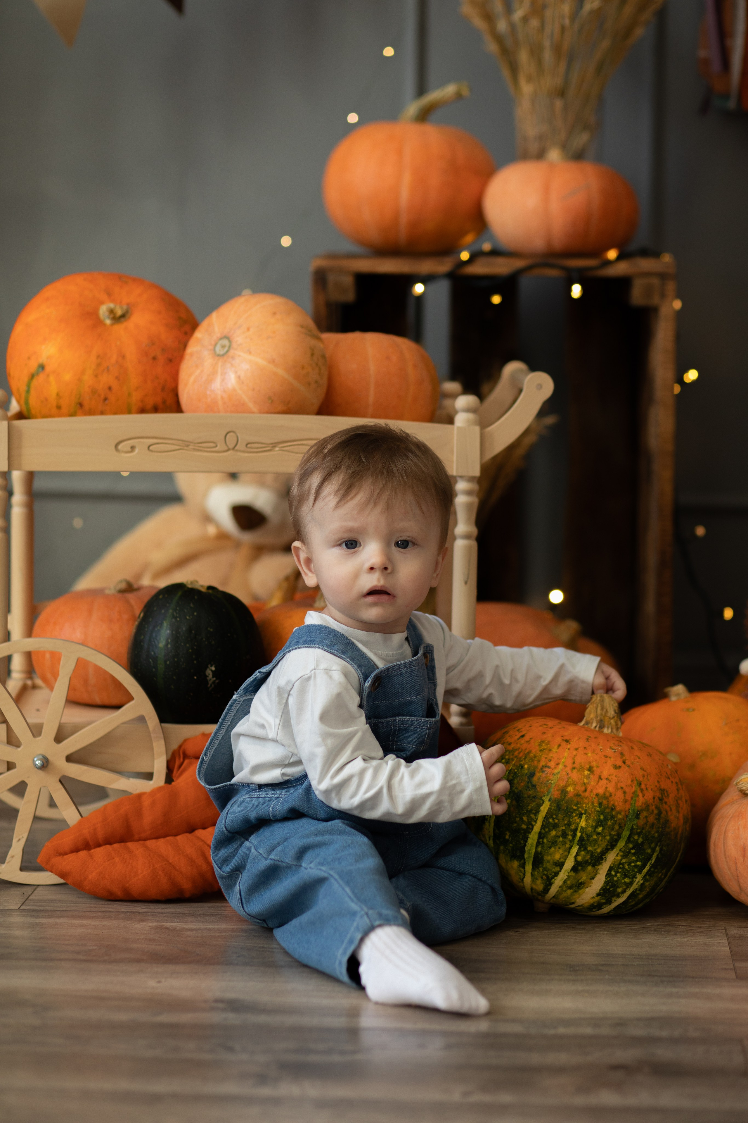 Краски осени. Фотограф в Омске