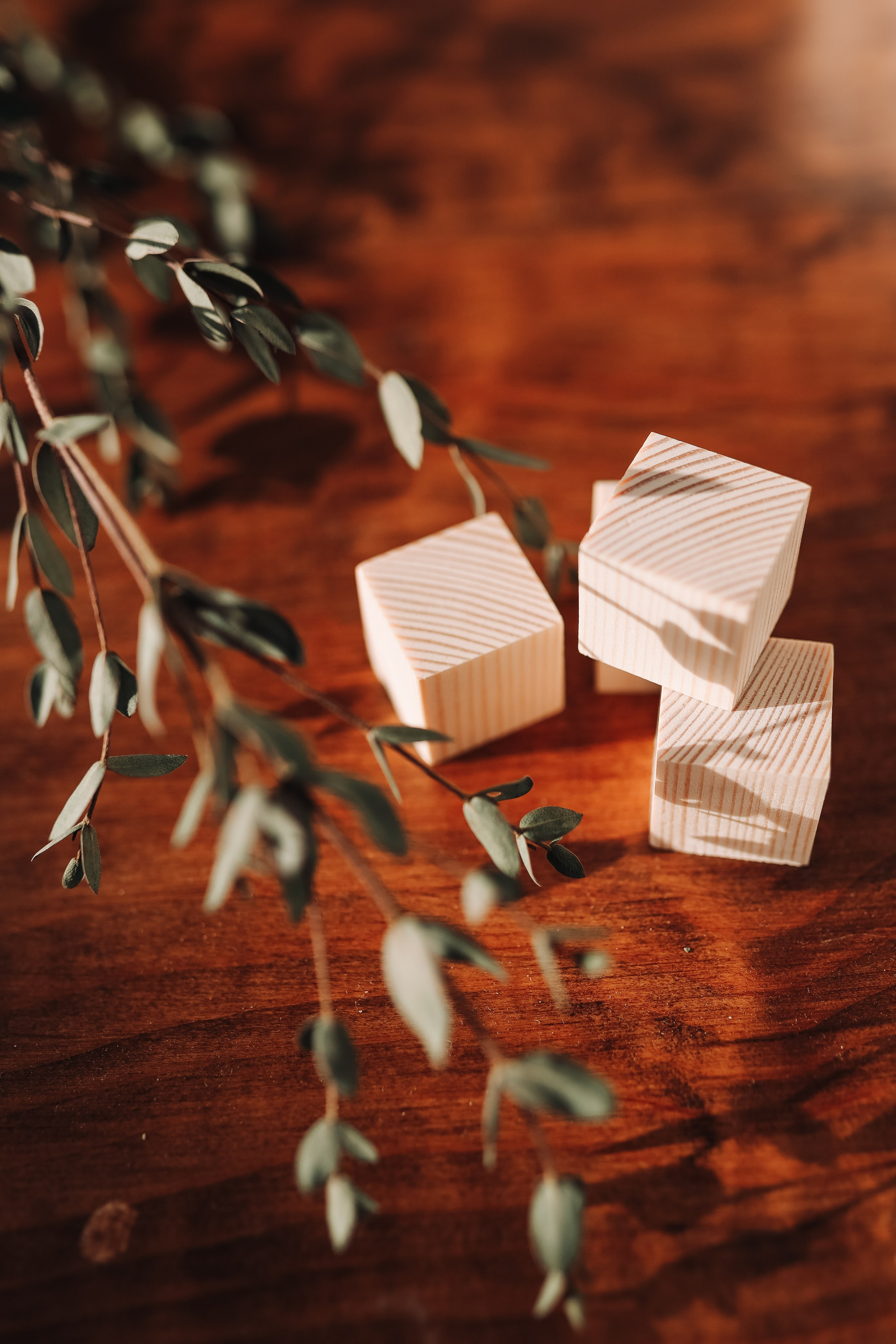 Набор для творчества. Фотограф  Ксения Евдокова. Дзержинск, Нижний, Москва, Питер