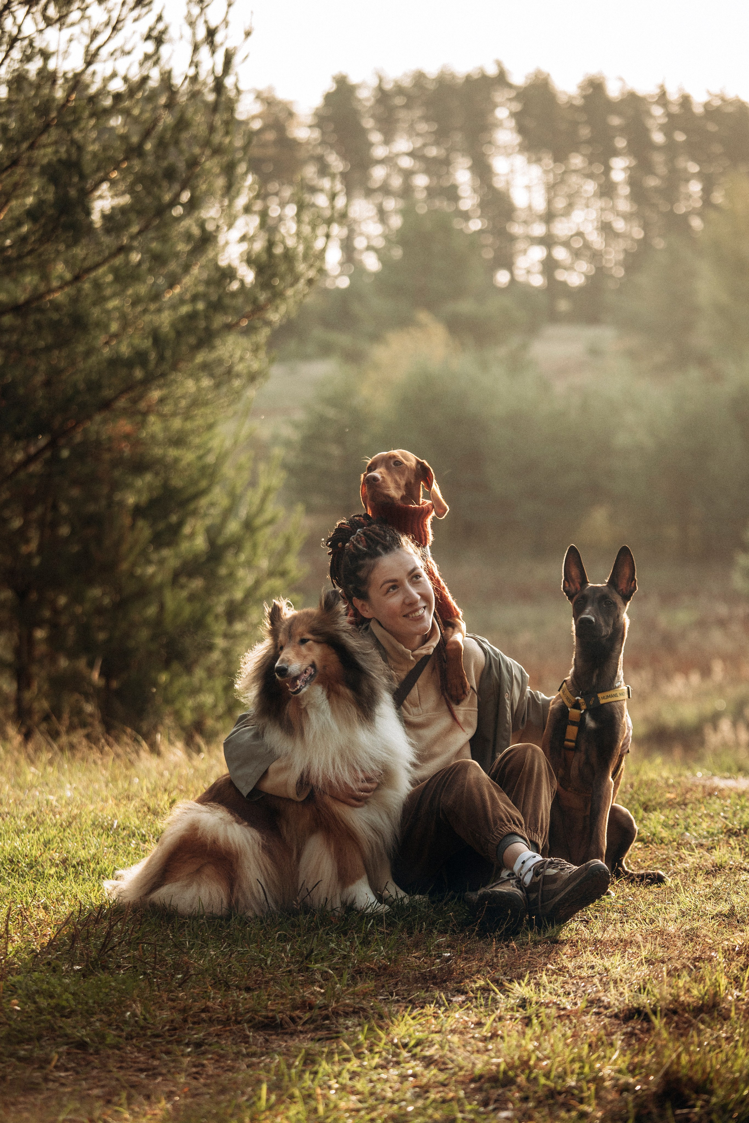 Трисс, Эста, Яся и их семья. Фотограф — Анималист | Санкт-Петербург