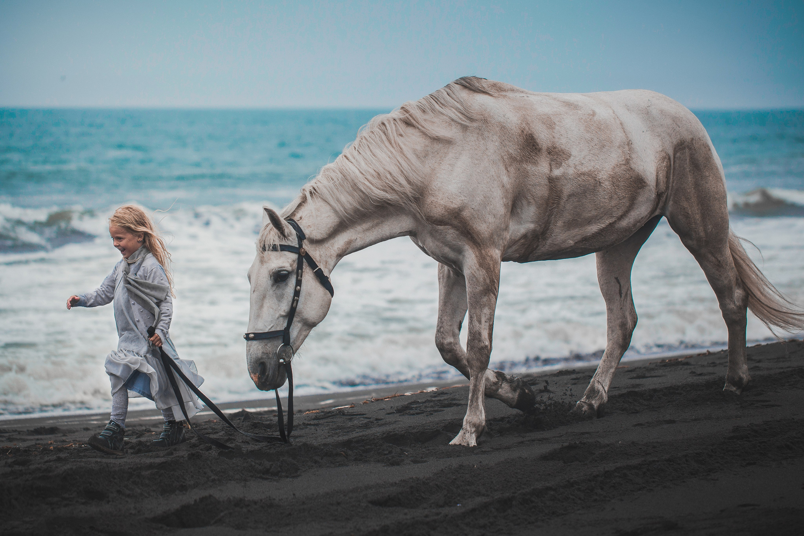 Фото с лошадьми. Обо мне