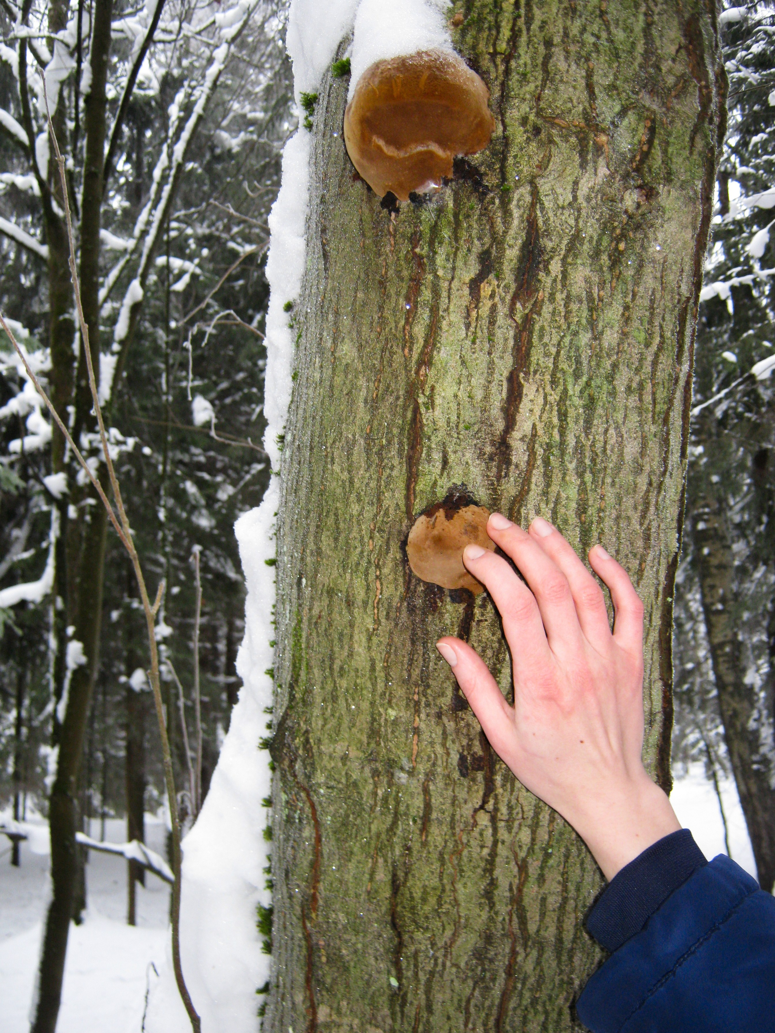 И вокруг меня. Портретный и концертный фотограф в Санкт-Петербурге Егор Телятников