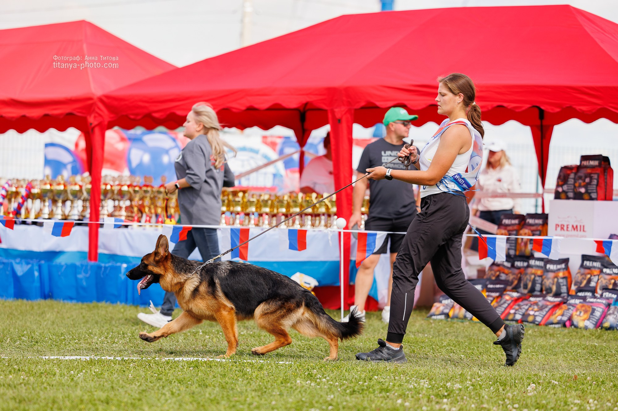 Немецкие овчарки: фото из рингов и вне ринга, мутпроба (фотографии с выставок). Фотограф собак, фотограф-анималист Аня Титова (Titanya). Москва