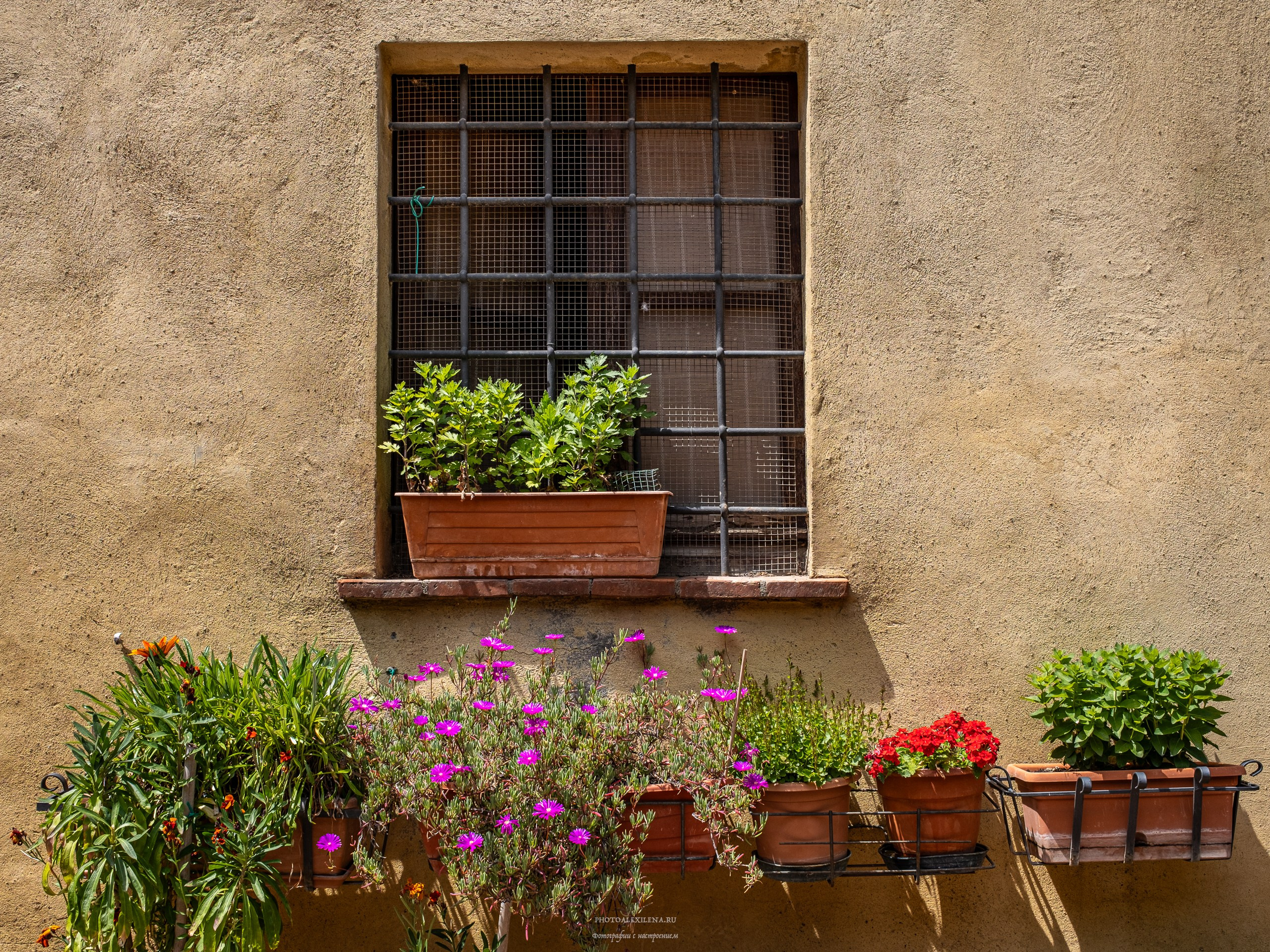Пиенца и Ареццо. Авторские стильные фотокартины