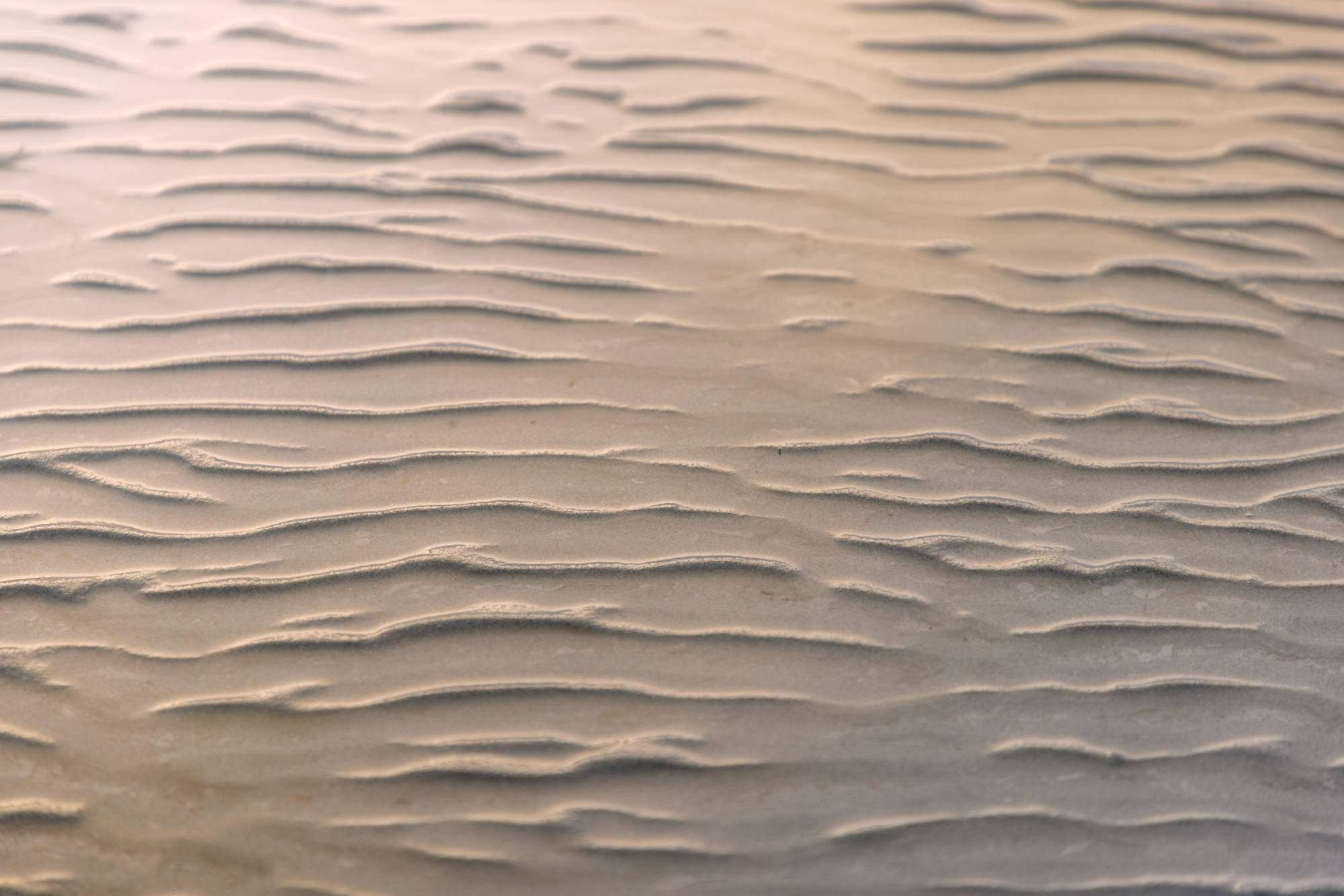 Elton. Вадим Щербаков | архитектурный фотограф