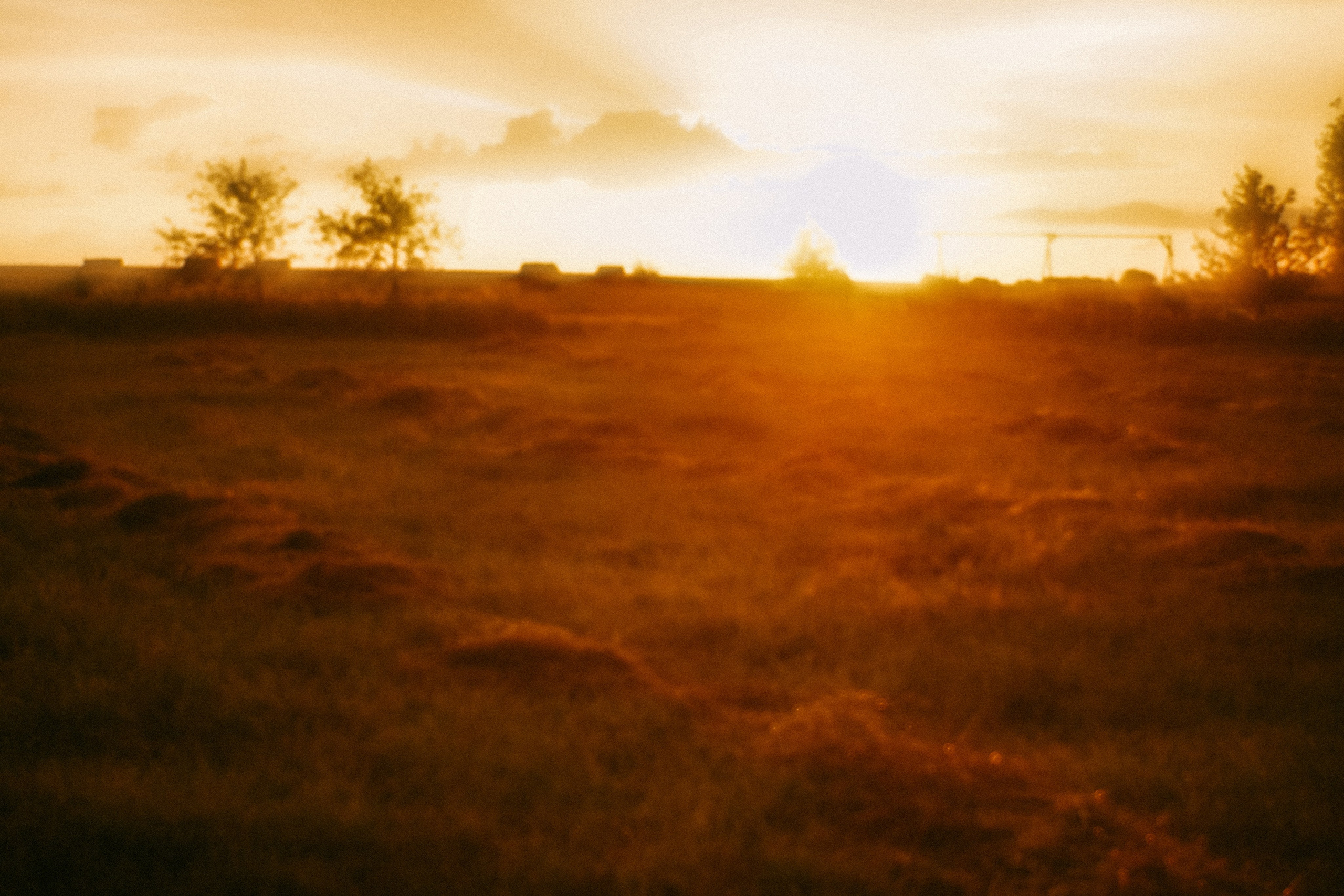 Поэзия повседневности. Семейный фотограф в Москве Марина Аргунова