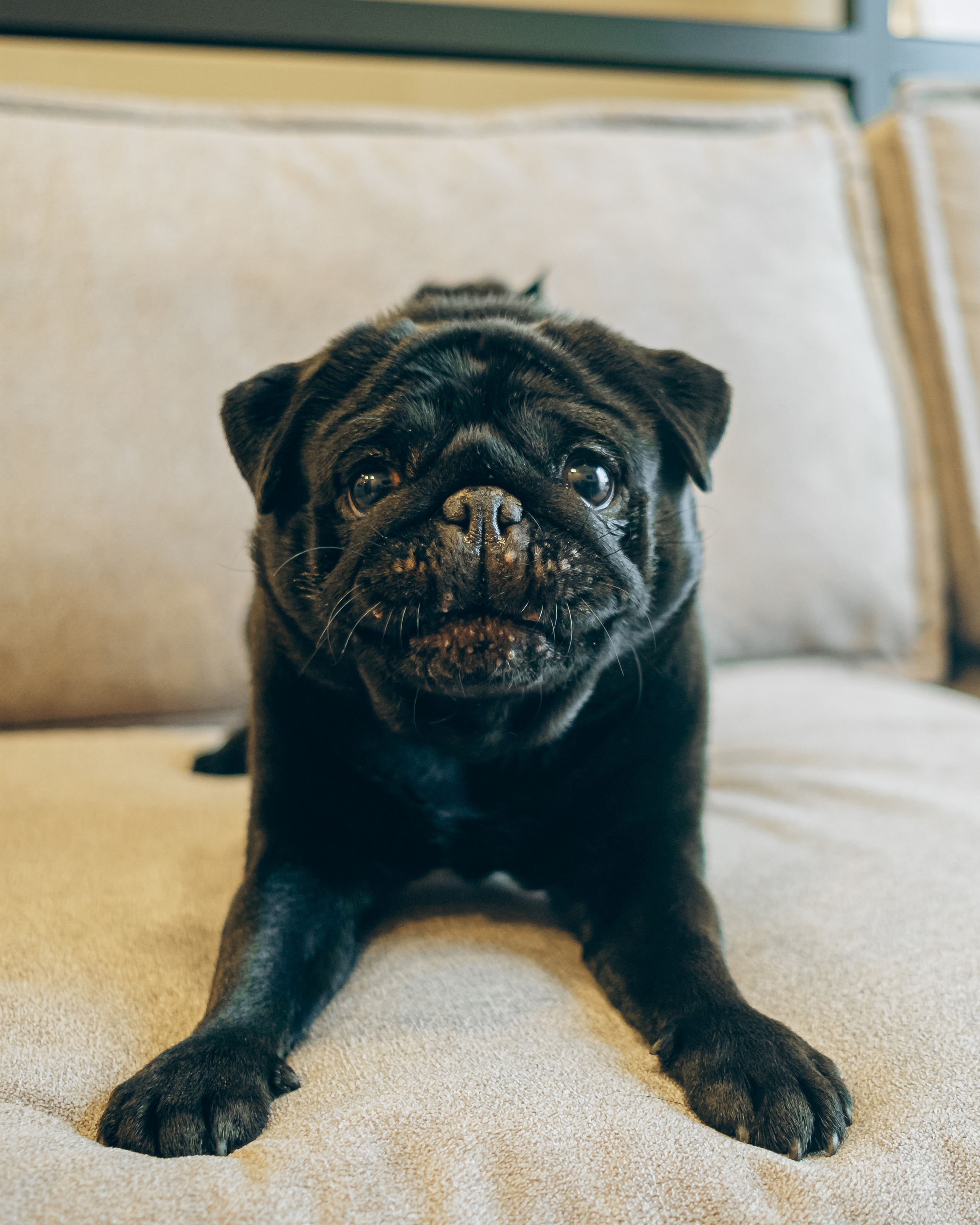 Hotel Yard Residence. Main