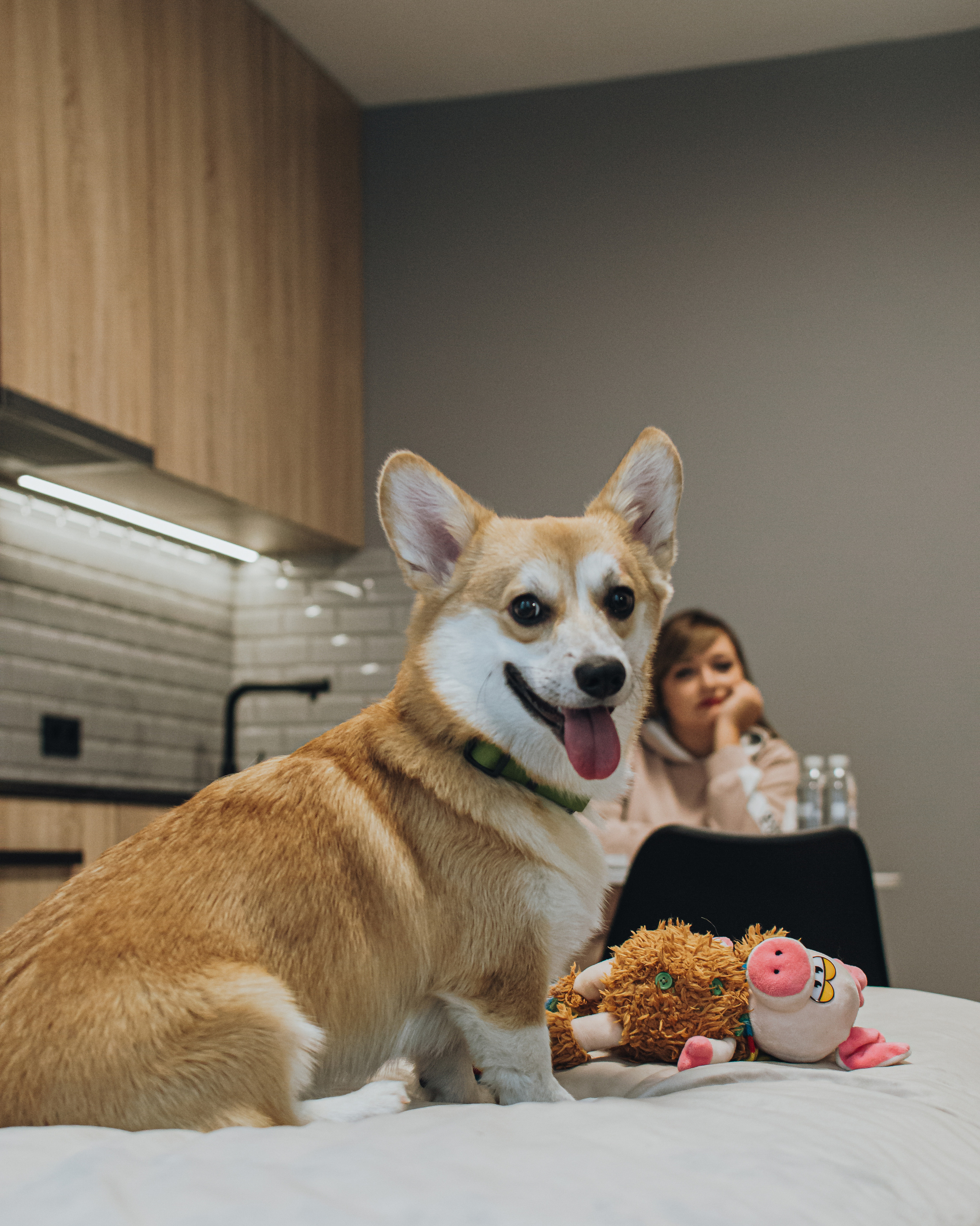 Hotel Yard Residence. Main