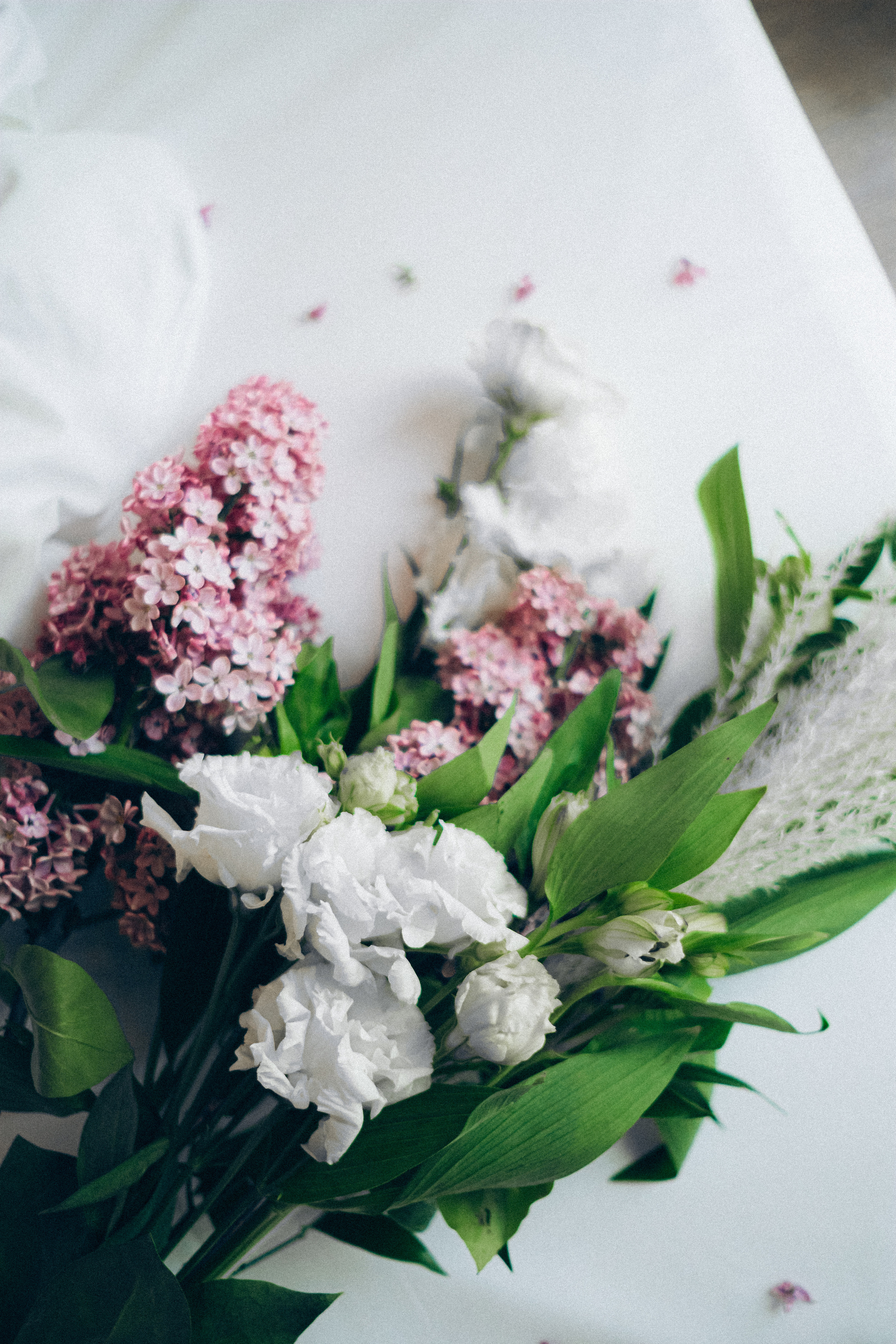 Art Nuvo Palace. Main