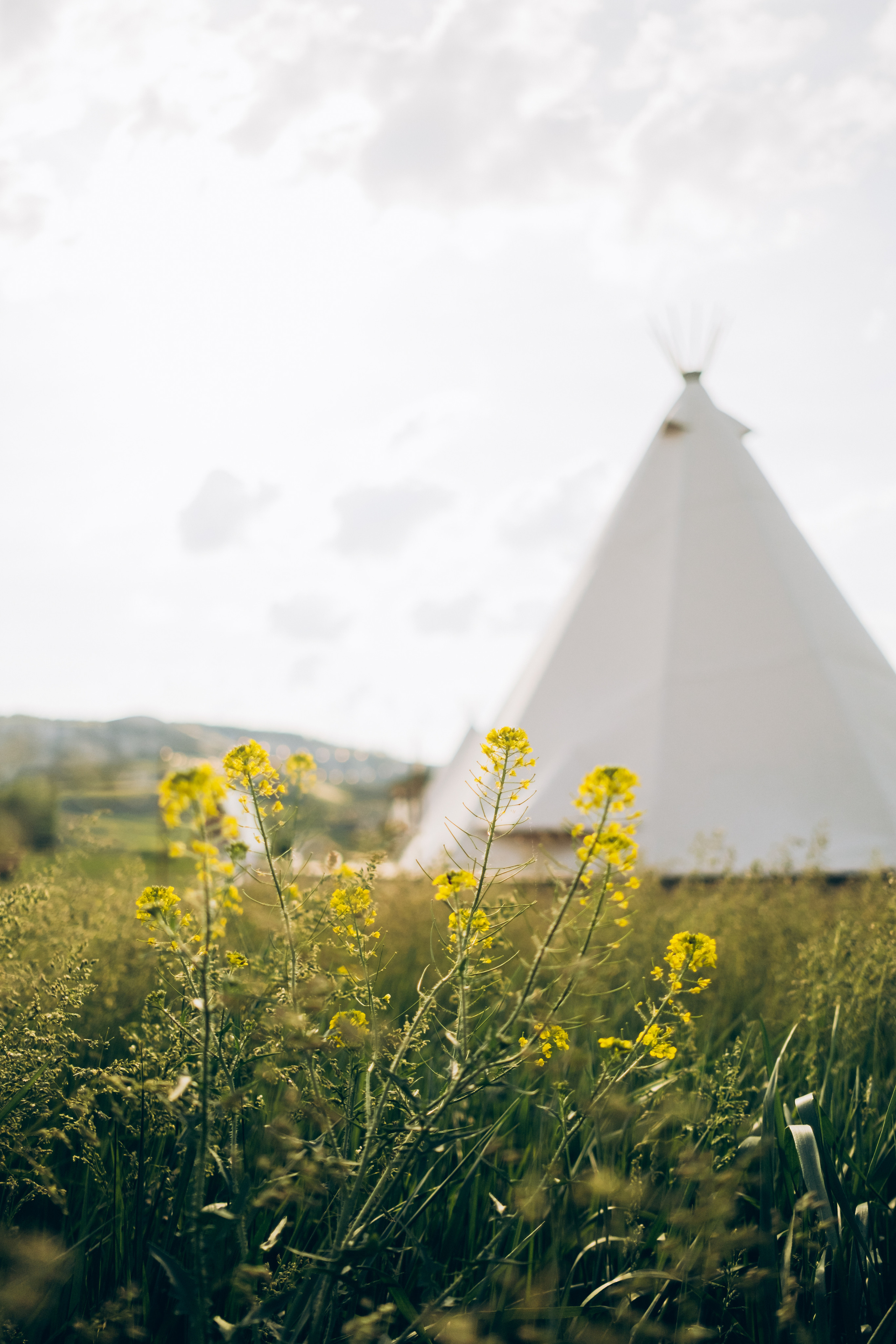 Alpha Glamping. Фотограф Андрей Шаталин