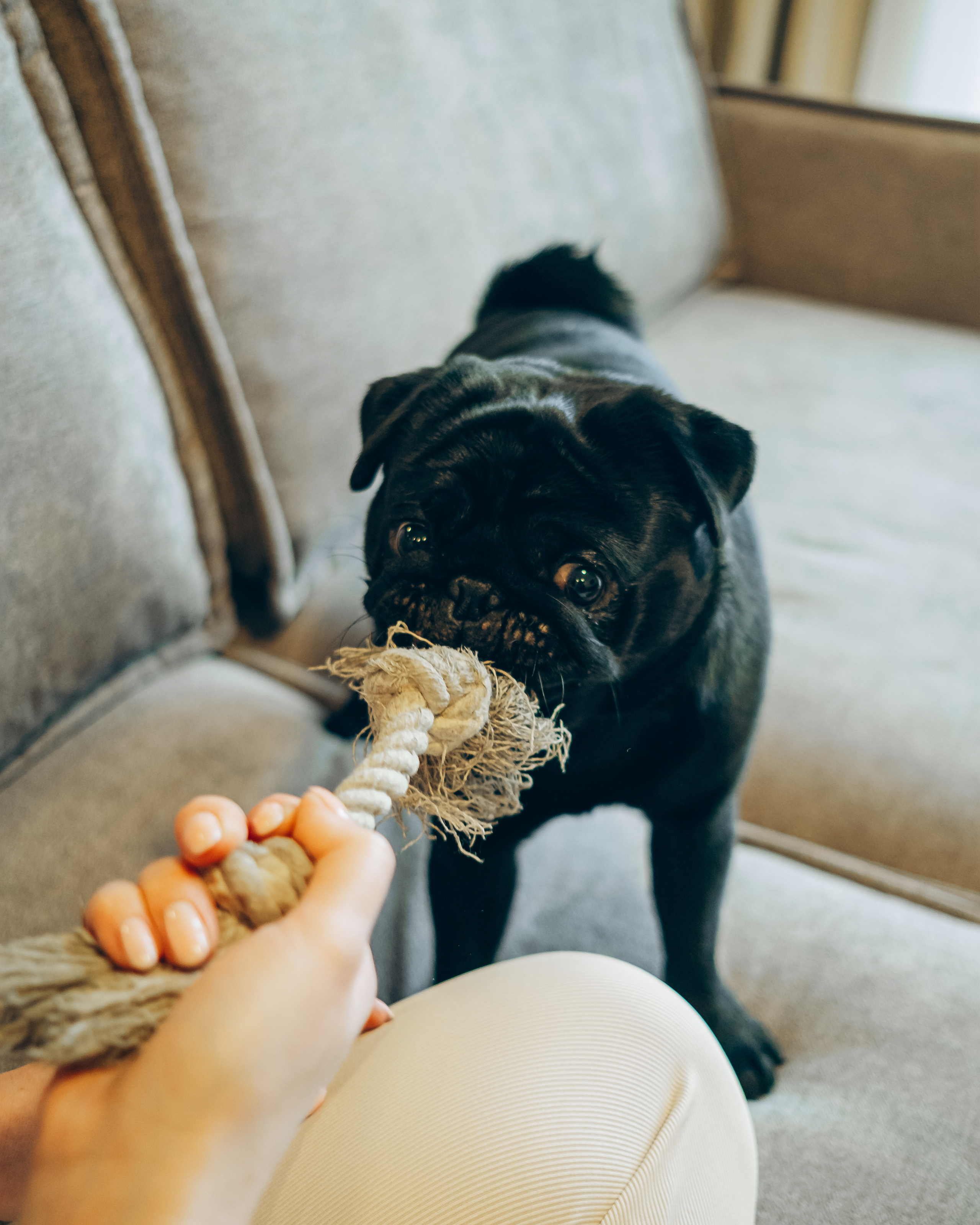 Hotel Yard Residence. Main