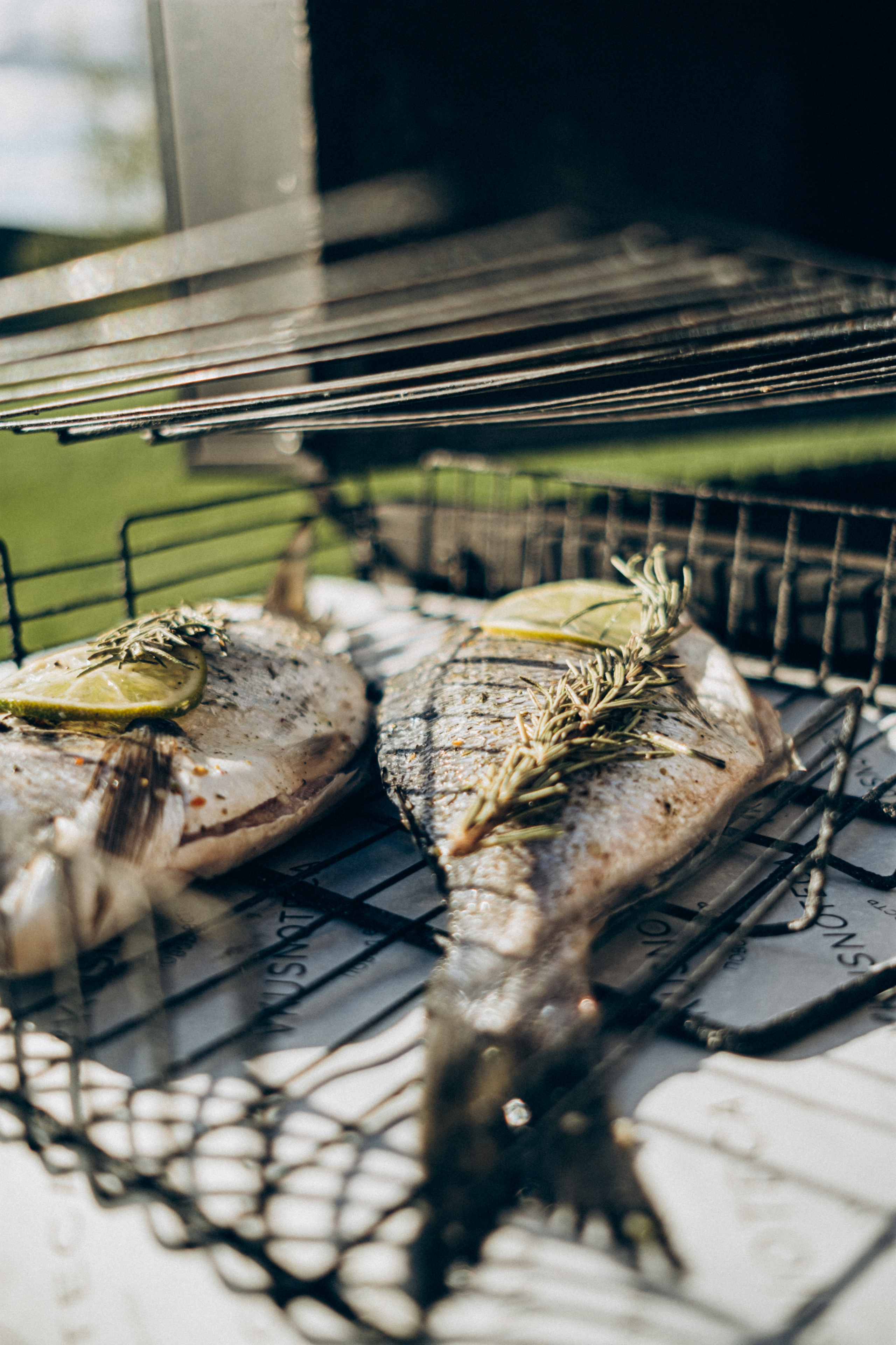 Alpha Glamping. Фотограф Андрей Шаталин