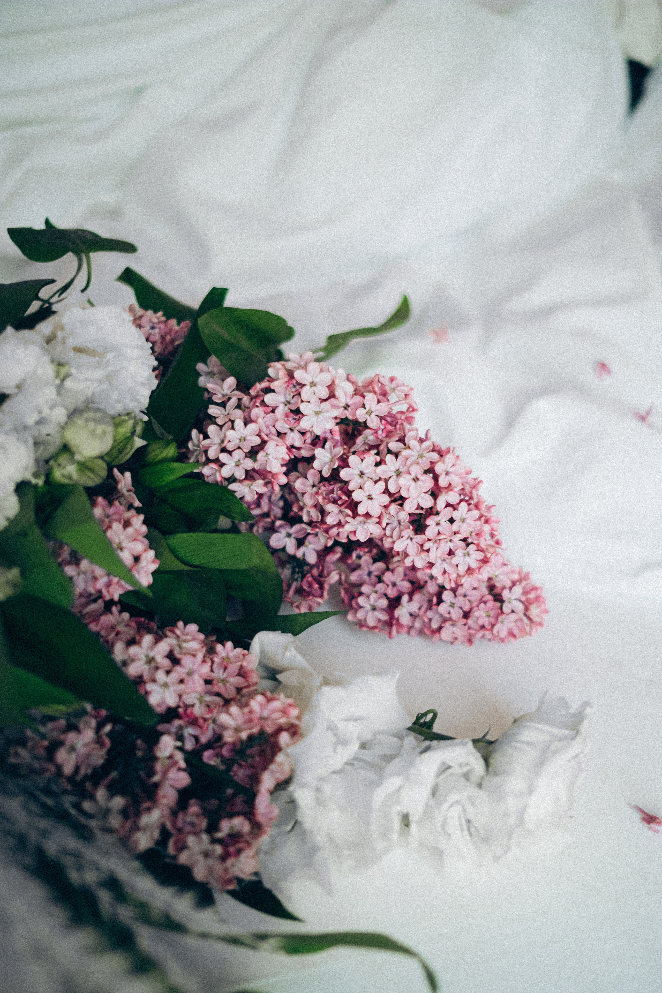 Art Nuvo Palace. Main