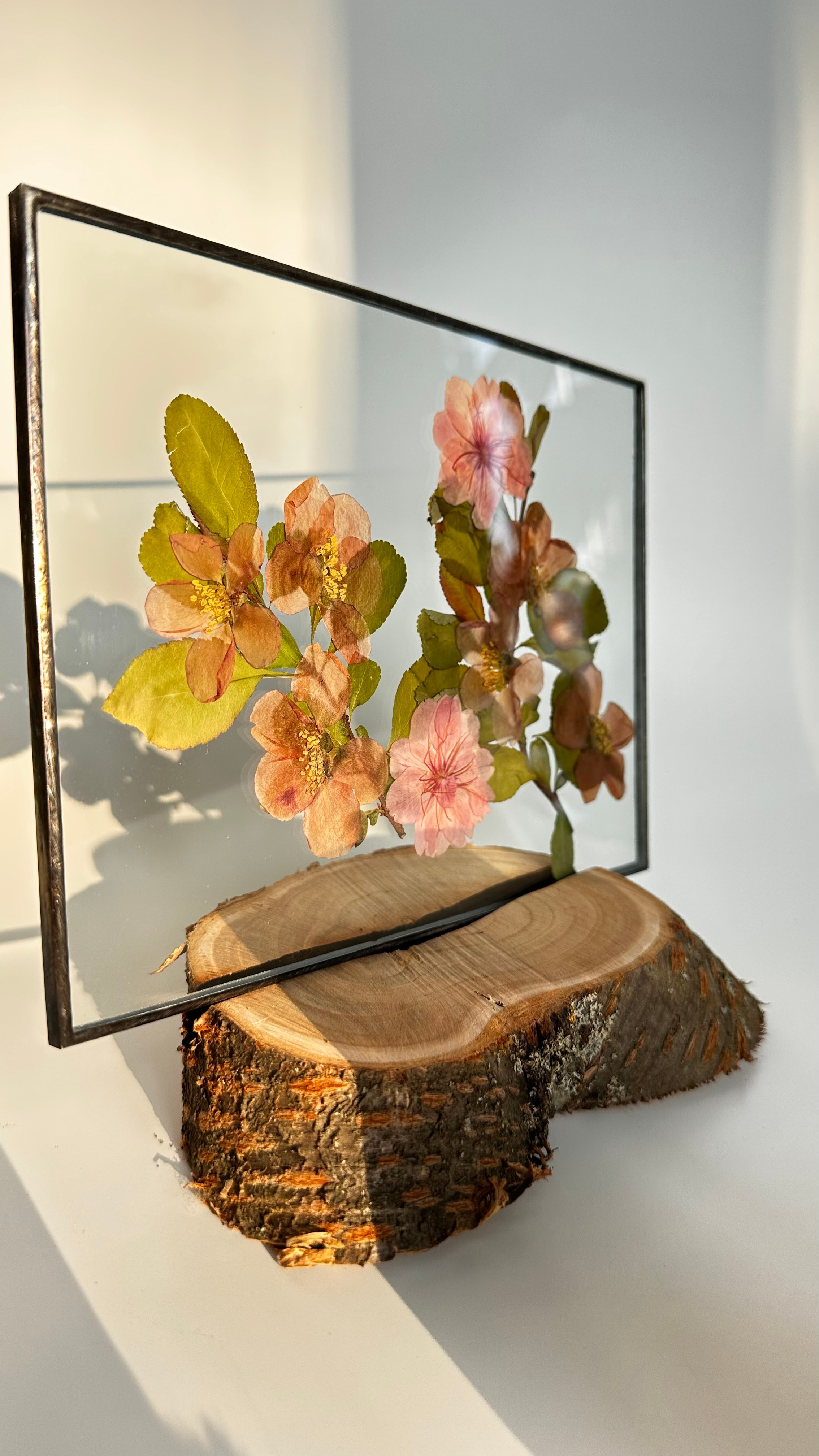 Гербарий в стекле с сухоцветами (витраж в технике тиффани). Гербарий в стекле, интерьерные панно, витражи с сухоцветами в технике тиффани