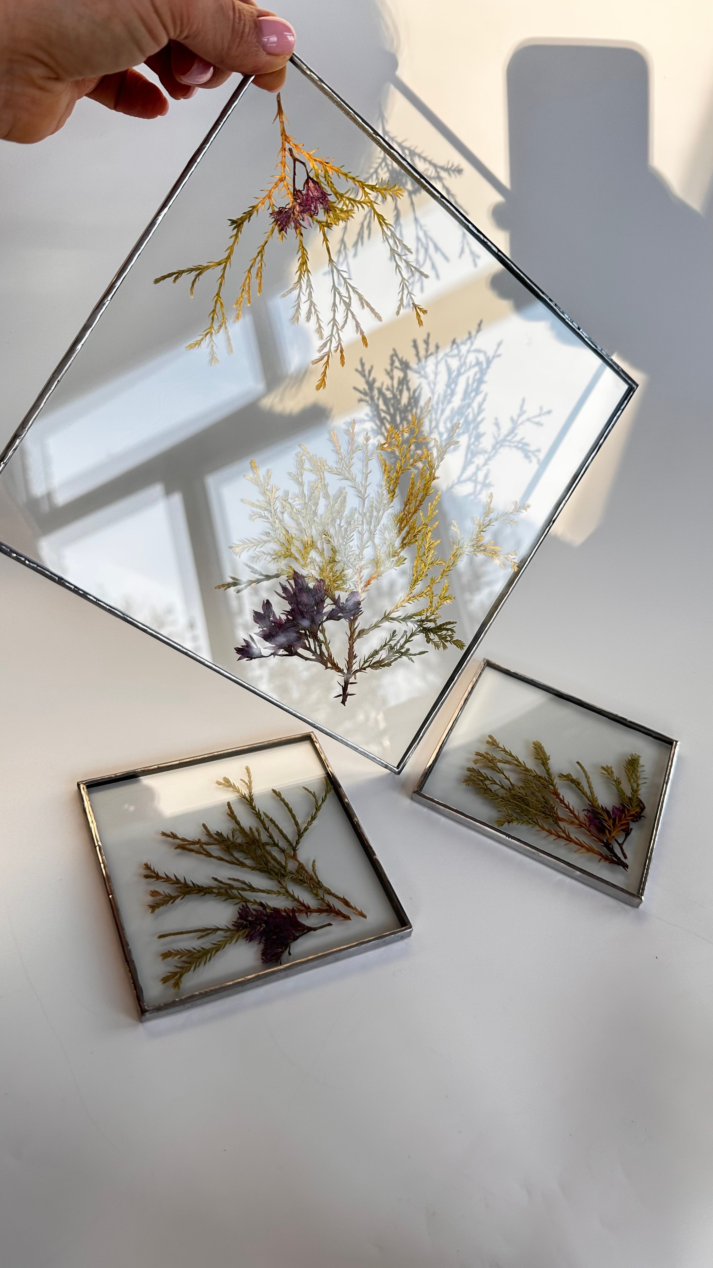 Гербарий в стекле с сухоцветами (витраж в технике тиффани). Гербарий в стекле, интерьерные панно, витражи с сухоцветами в технике тиффани