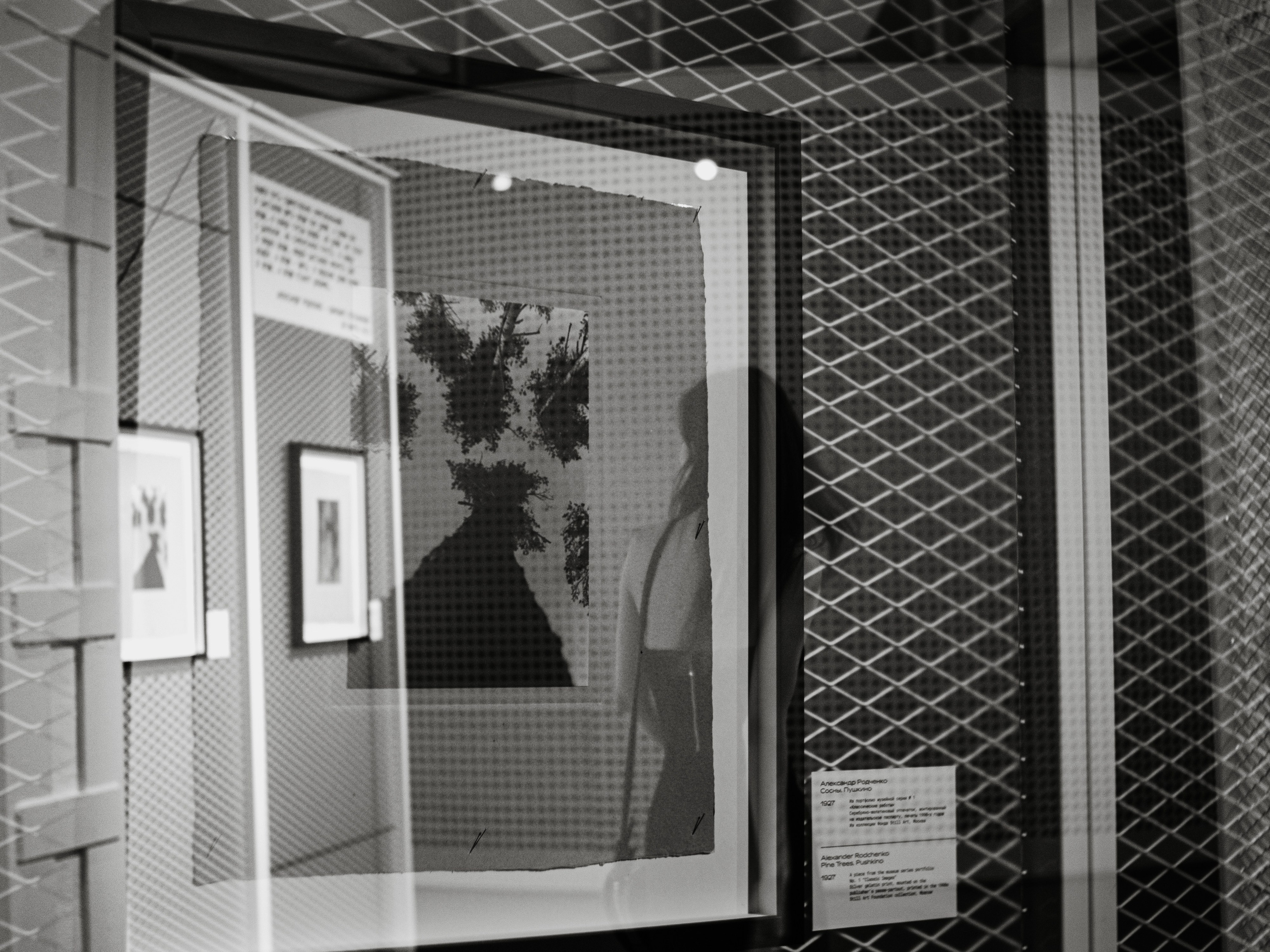 Выставка. Фотоистории