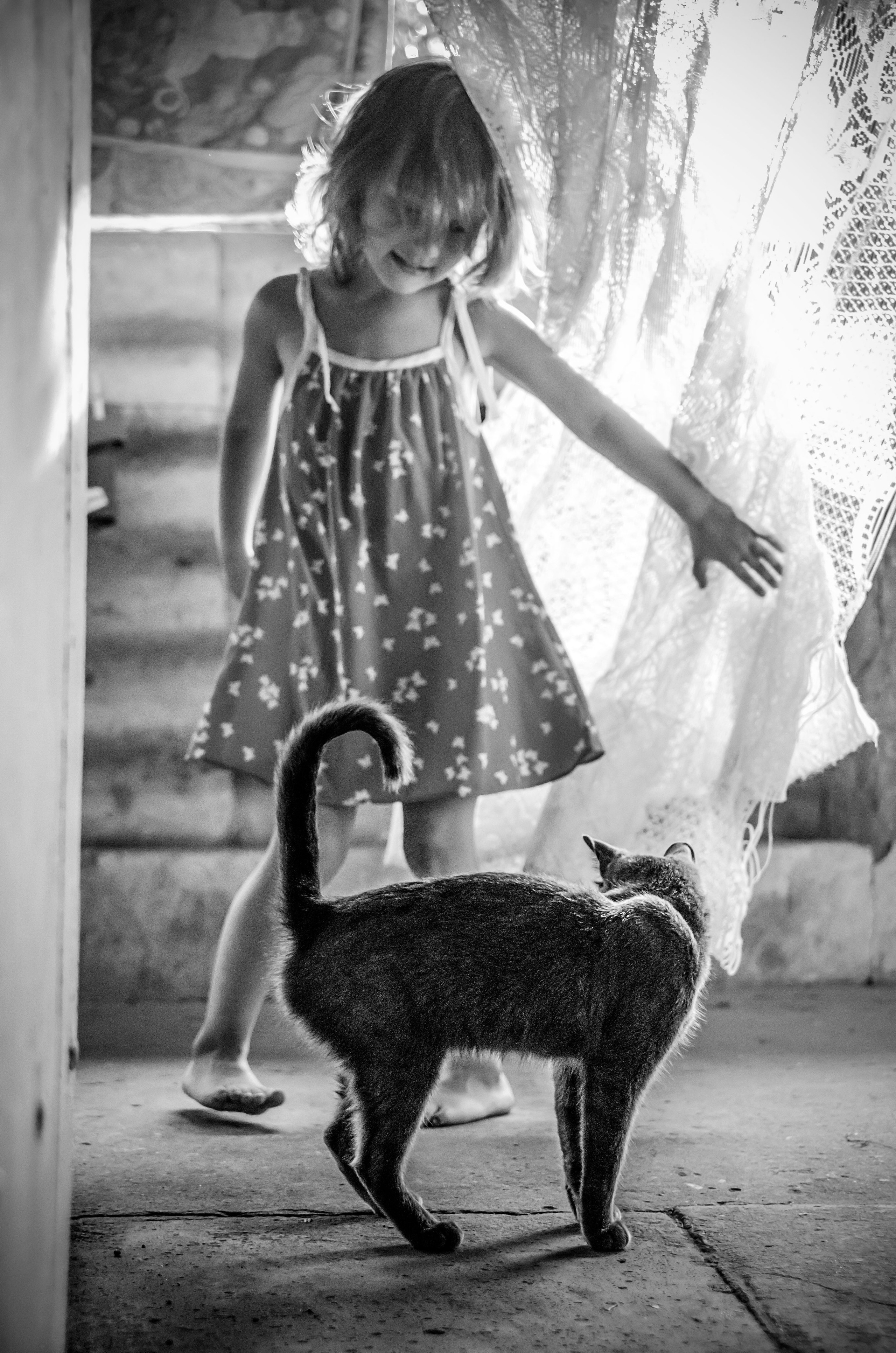 Серии «Кошка». Мультижанровый фотограф Дарья Strebog