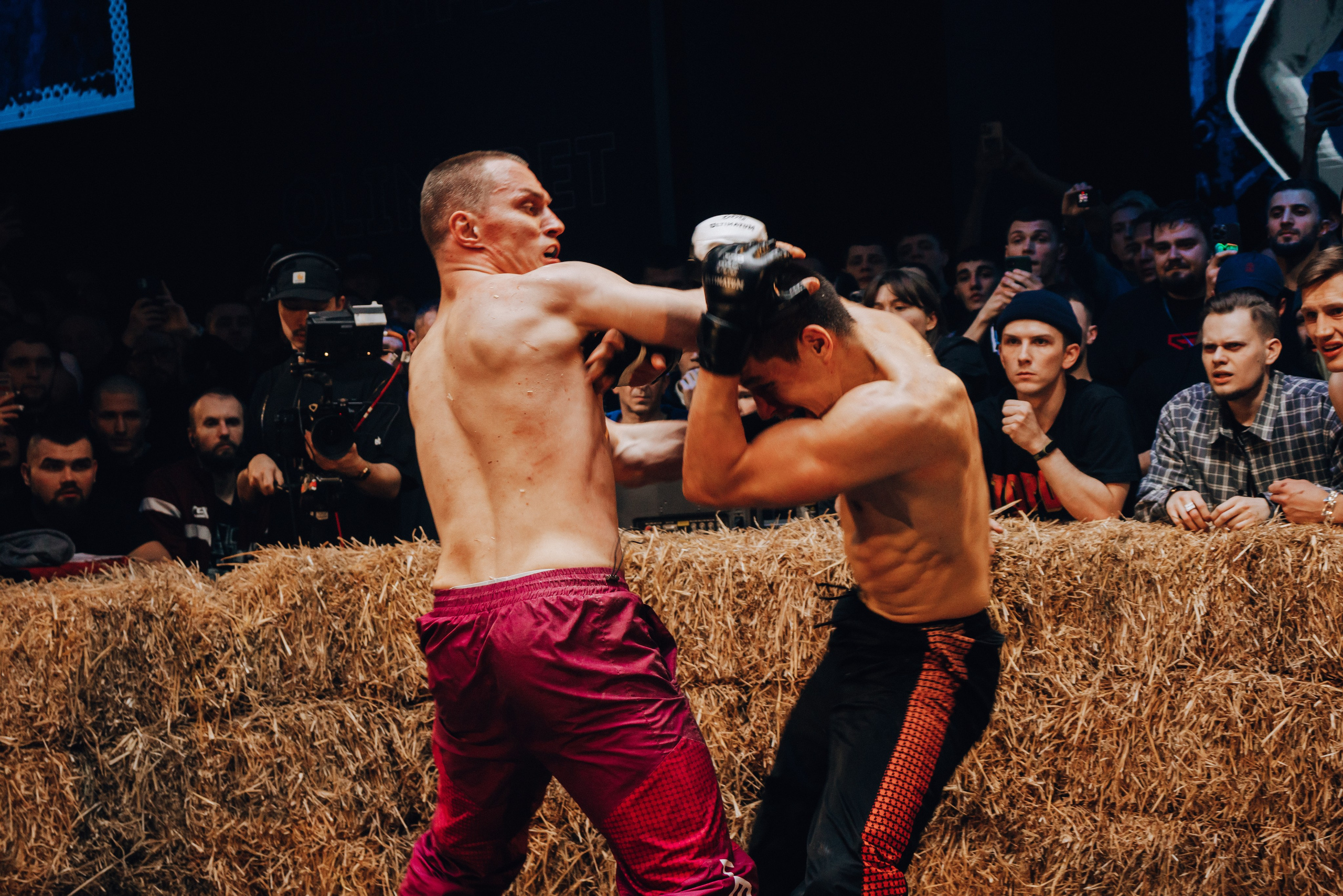 Кулачные бои TopDog. Анастасия Тен