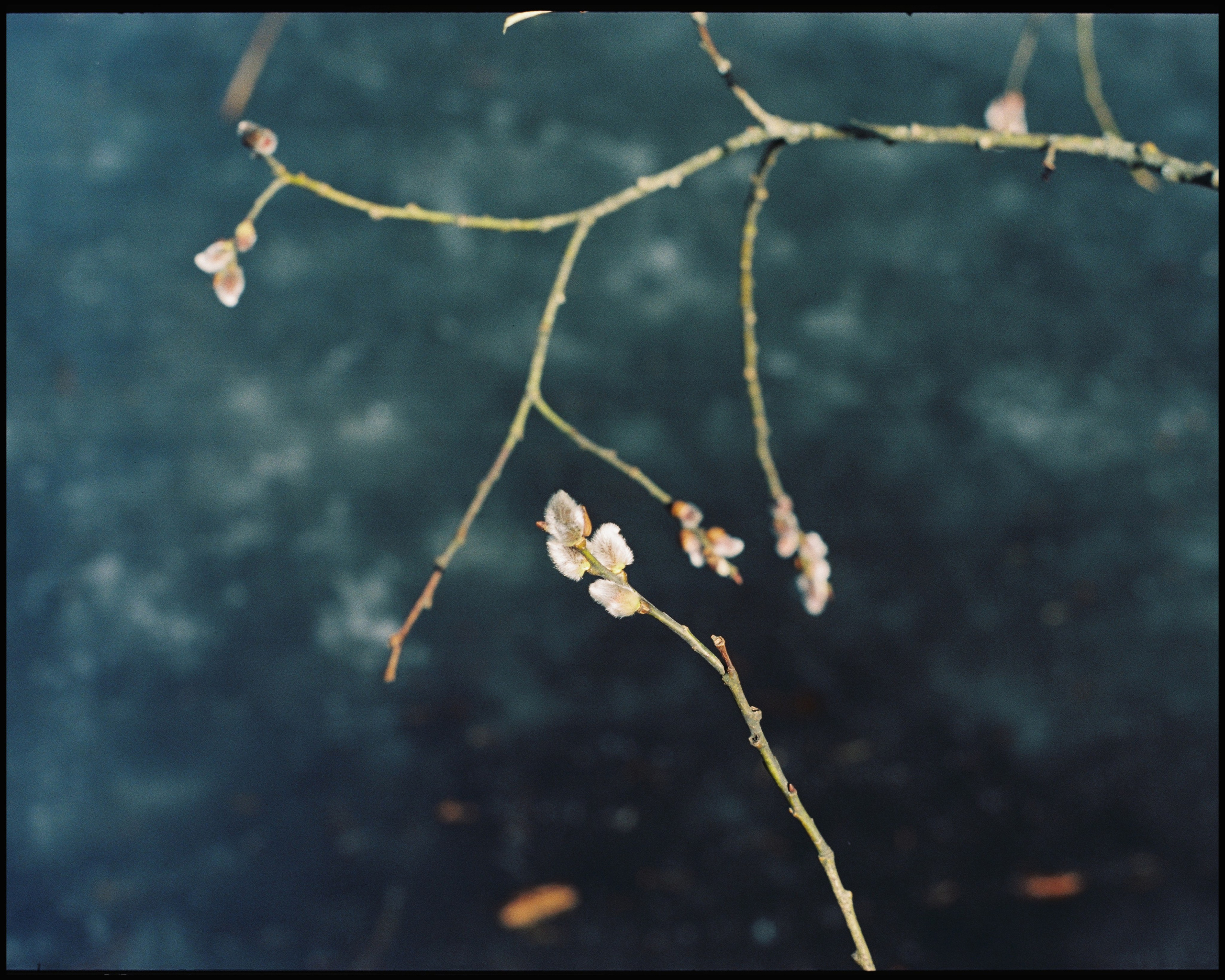 KALUGA. ANNA — PHOTOGRAPHER