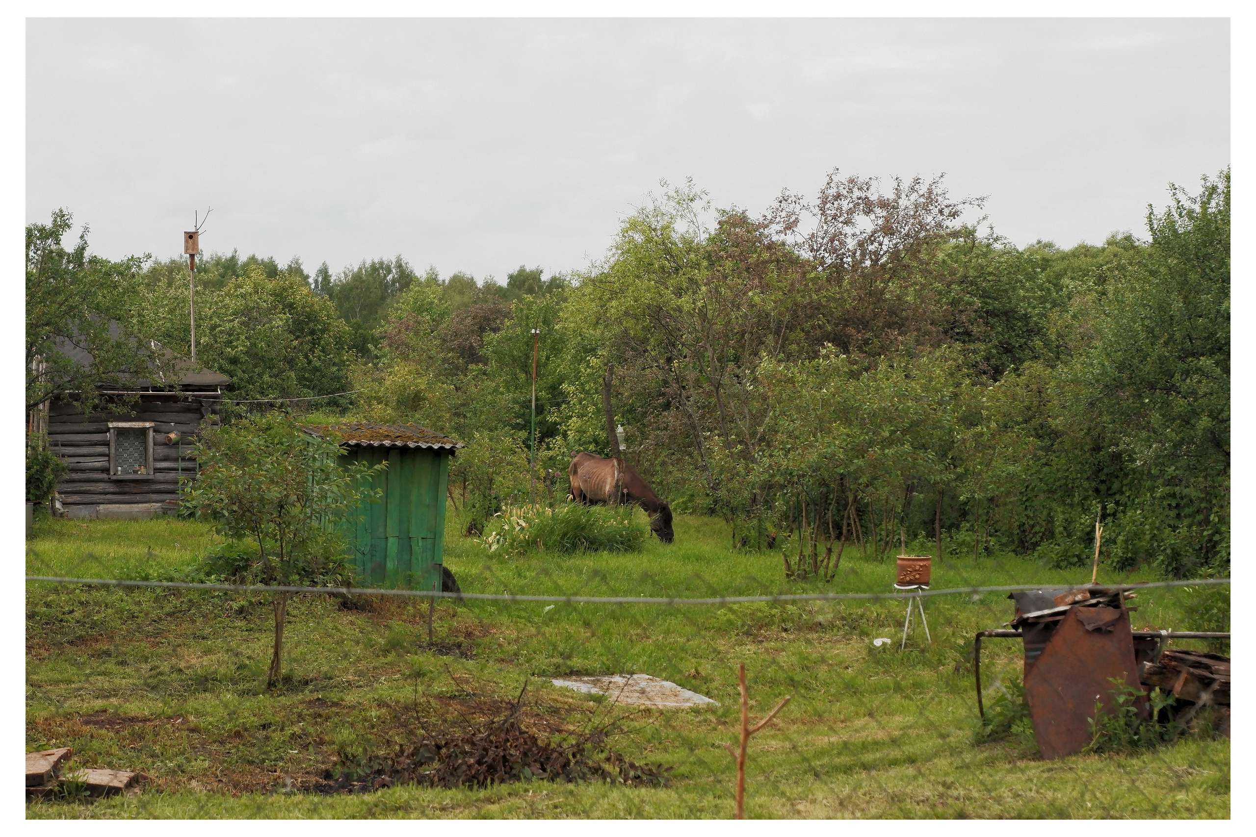 KALUGA. ANNA — PHOTOGRAPHER