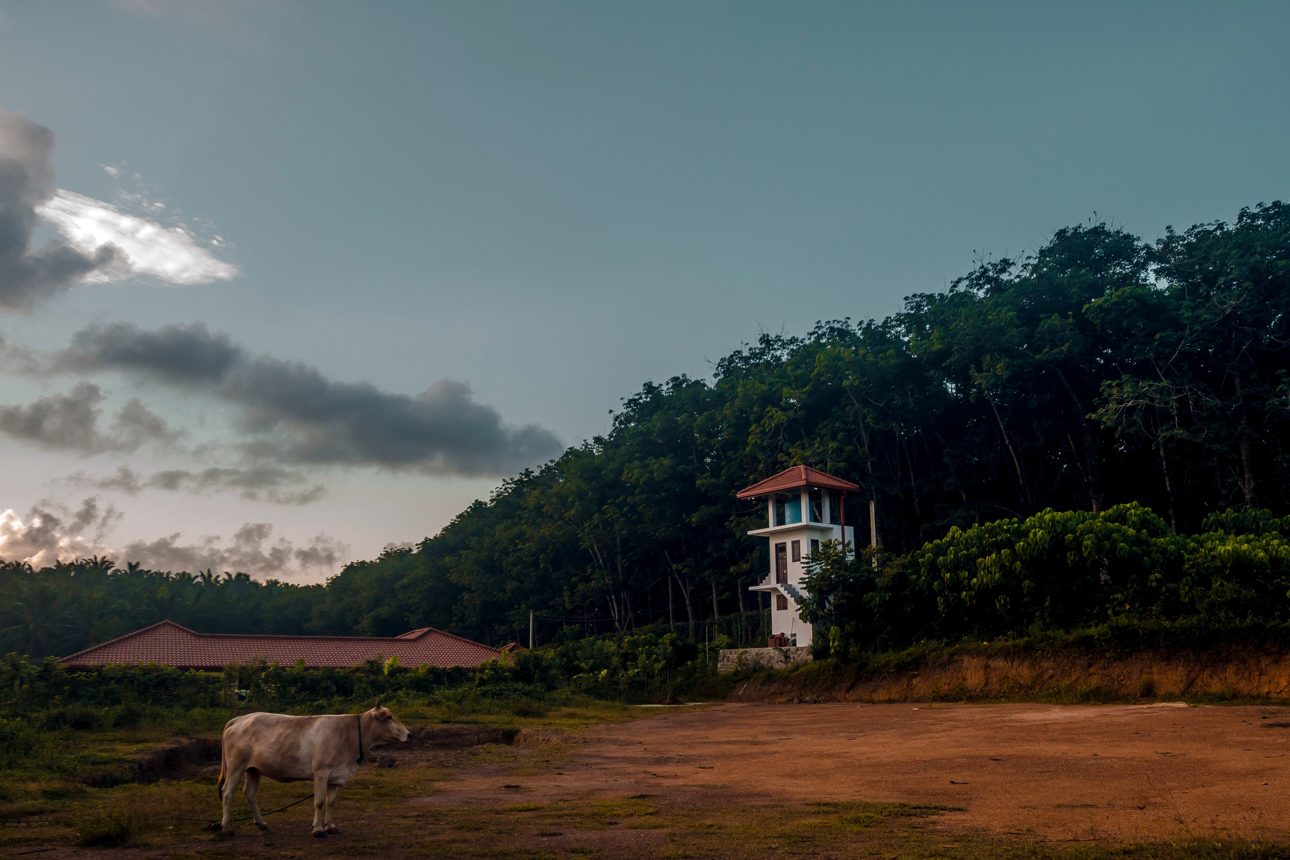 Sri Lanka. Art Photographer